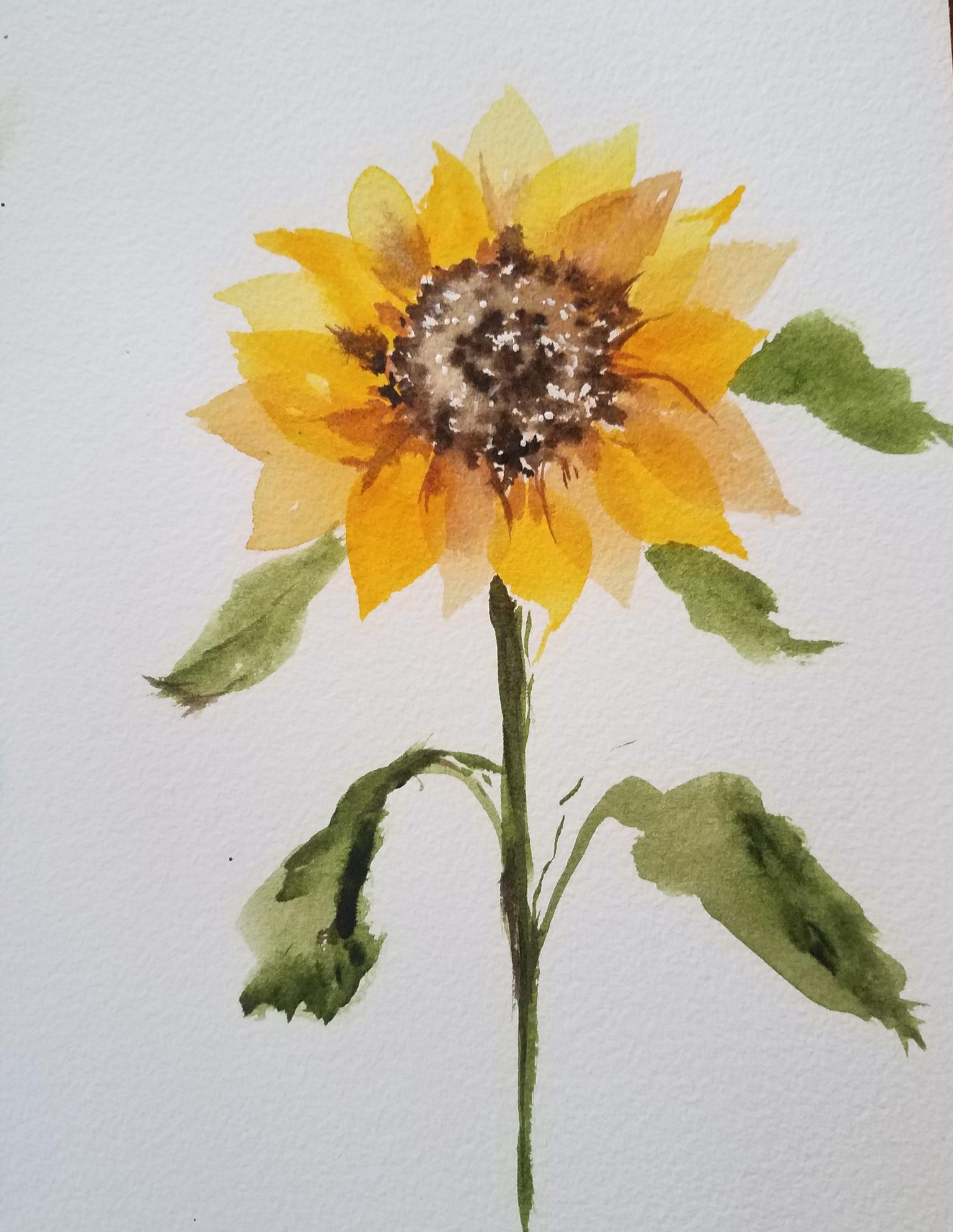 Loose sunflower0714 - image 3 - student project