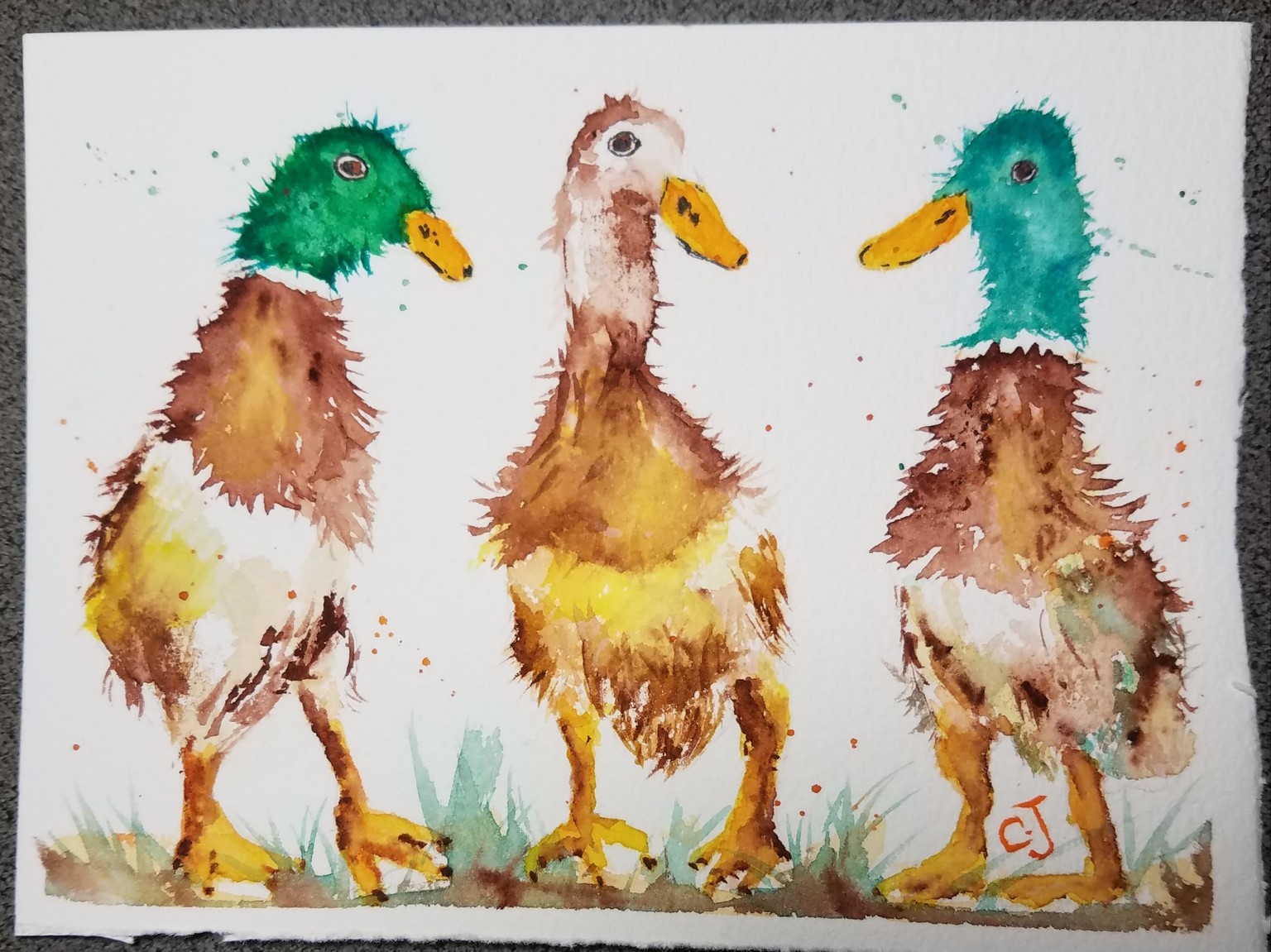 3 odd ducks in a row - image 1 - student project