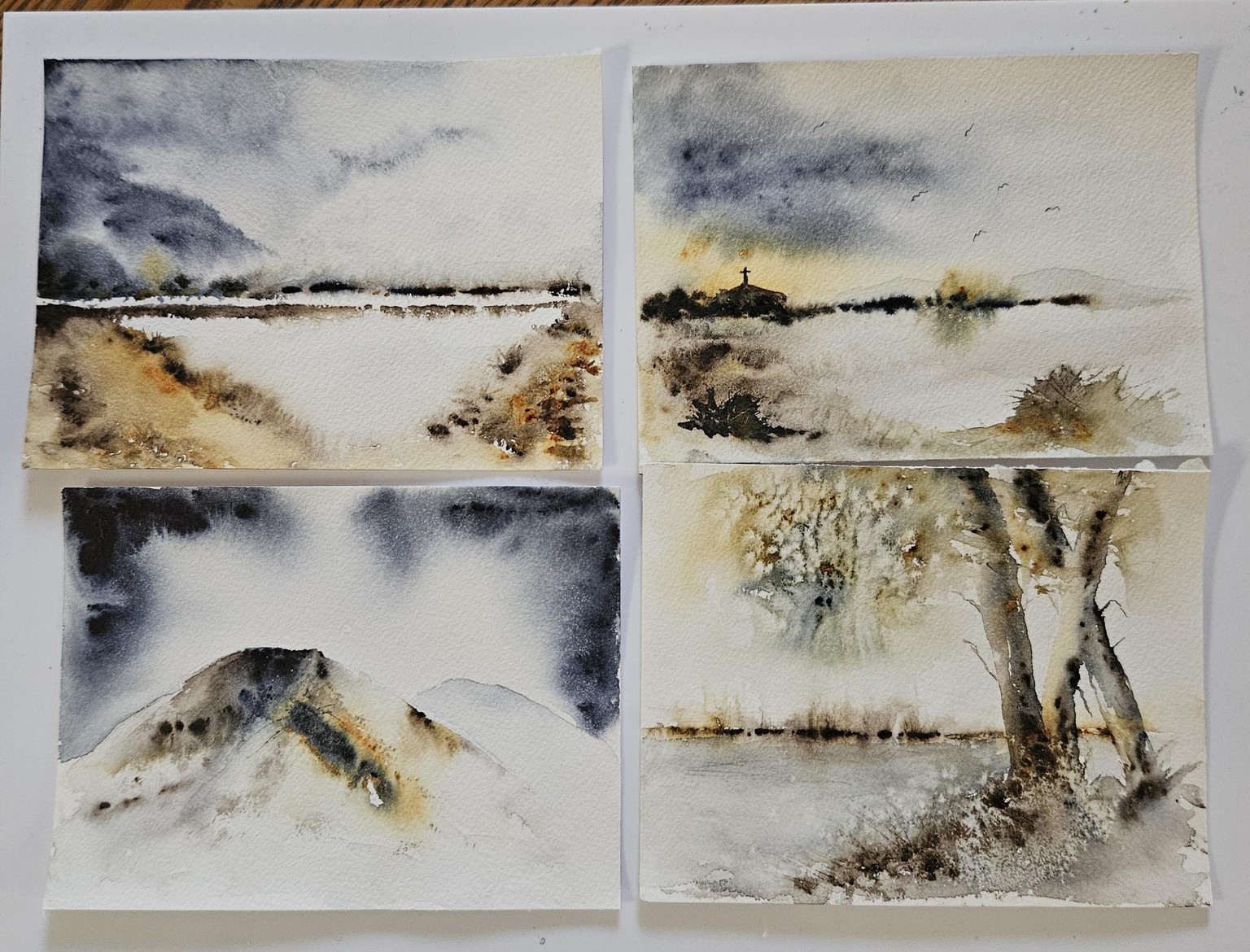 Mini landscapes - Jane Davies - image 1 - student project