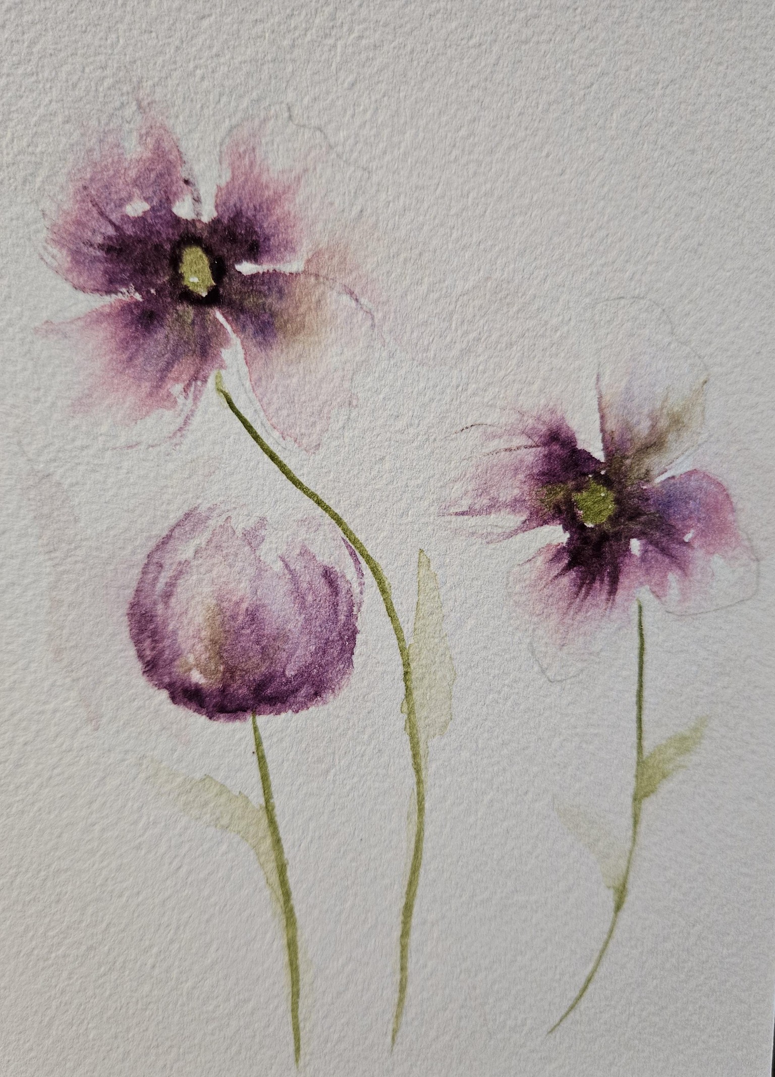 Flowers 092825 - image 1 - student project