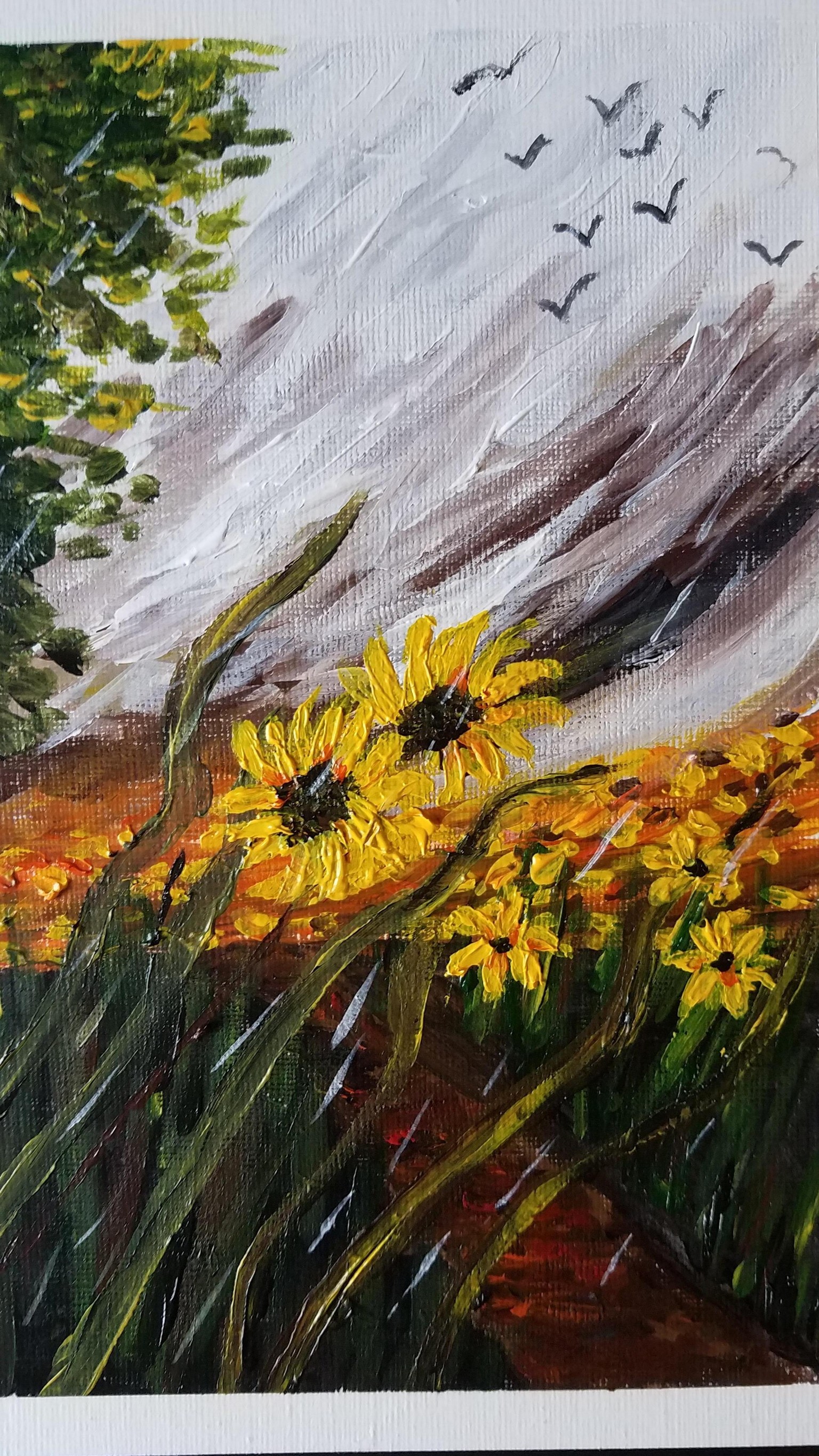 sunmonsoon - image 1 - student project