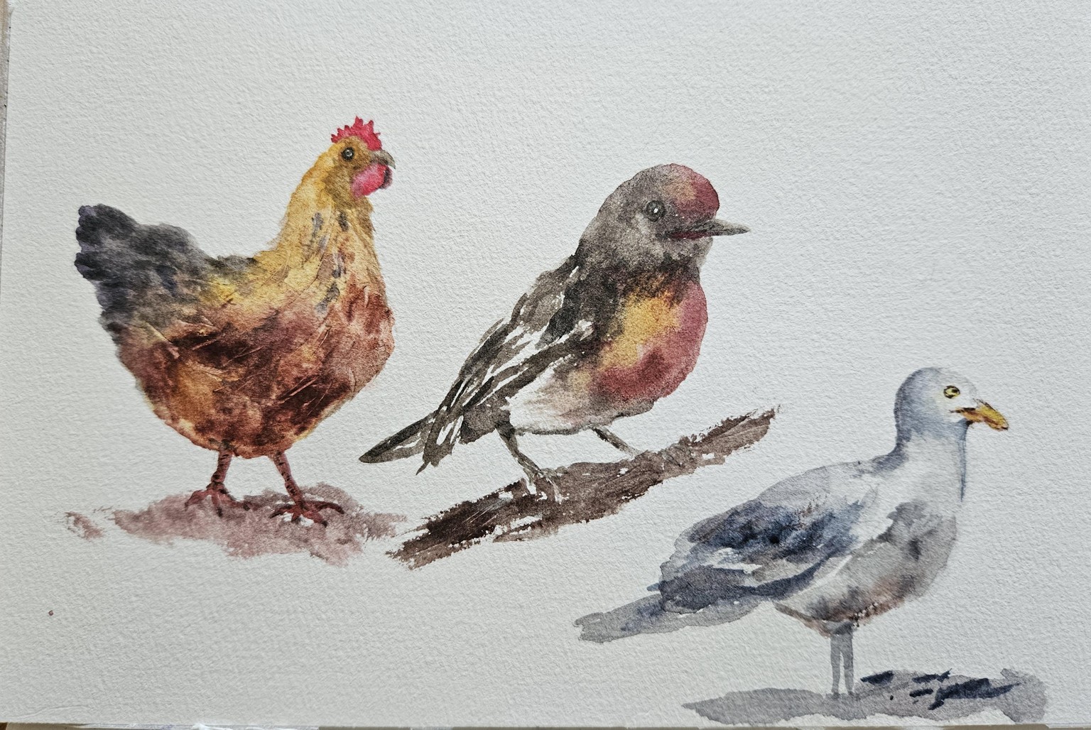 3 birds w/c - image 1 - student project