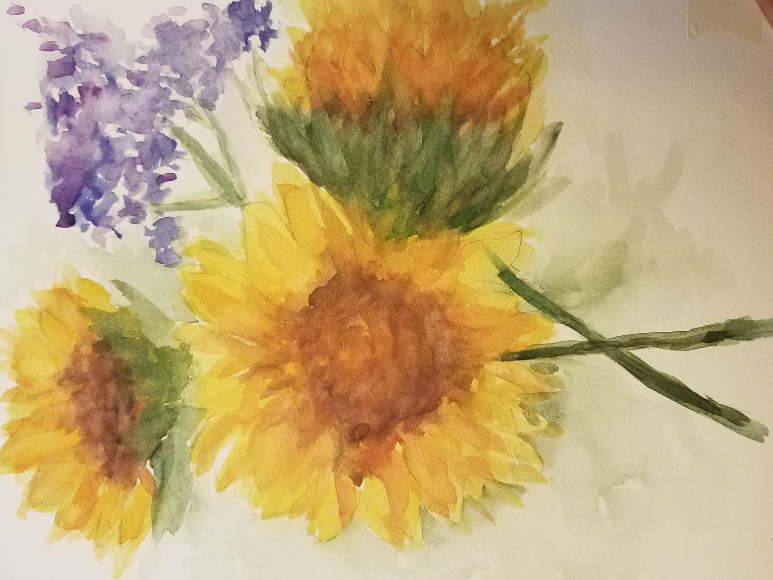 Sunflow0301 - image 1 - student project