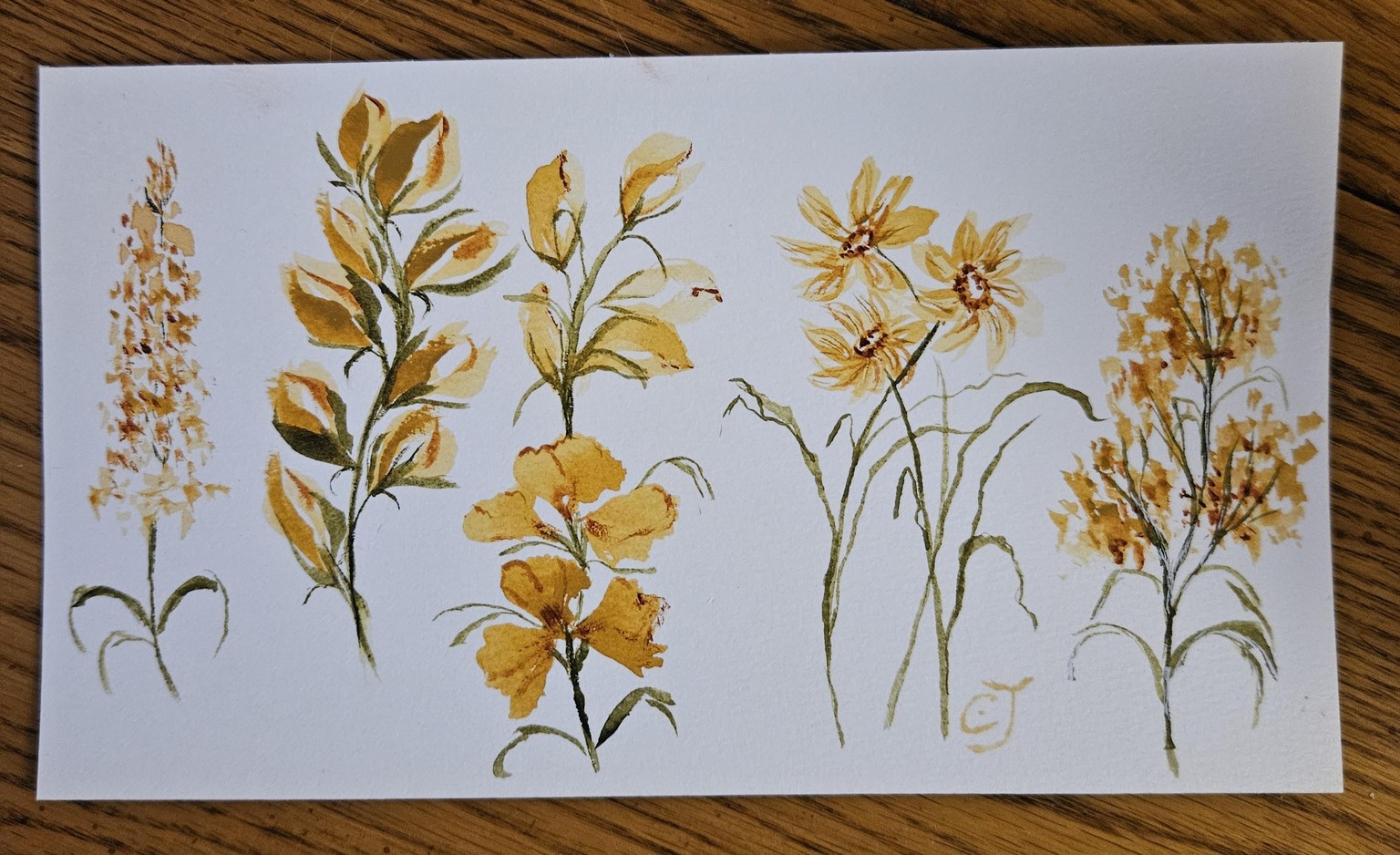 Wedge brush 5 florals - image 1 - student project