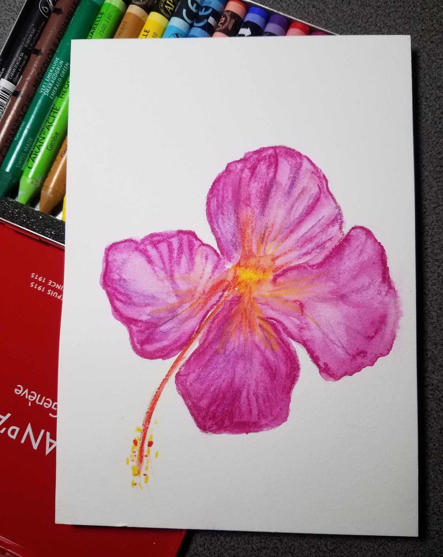 Pink hibiscus sketch - image 1 - student project