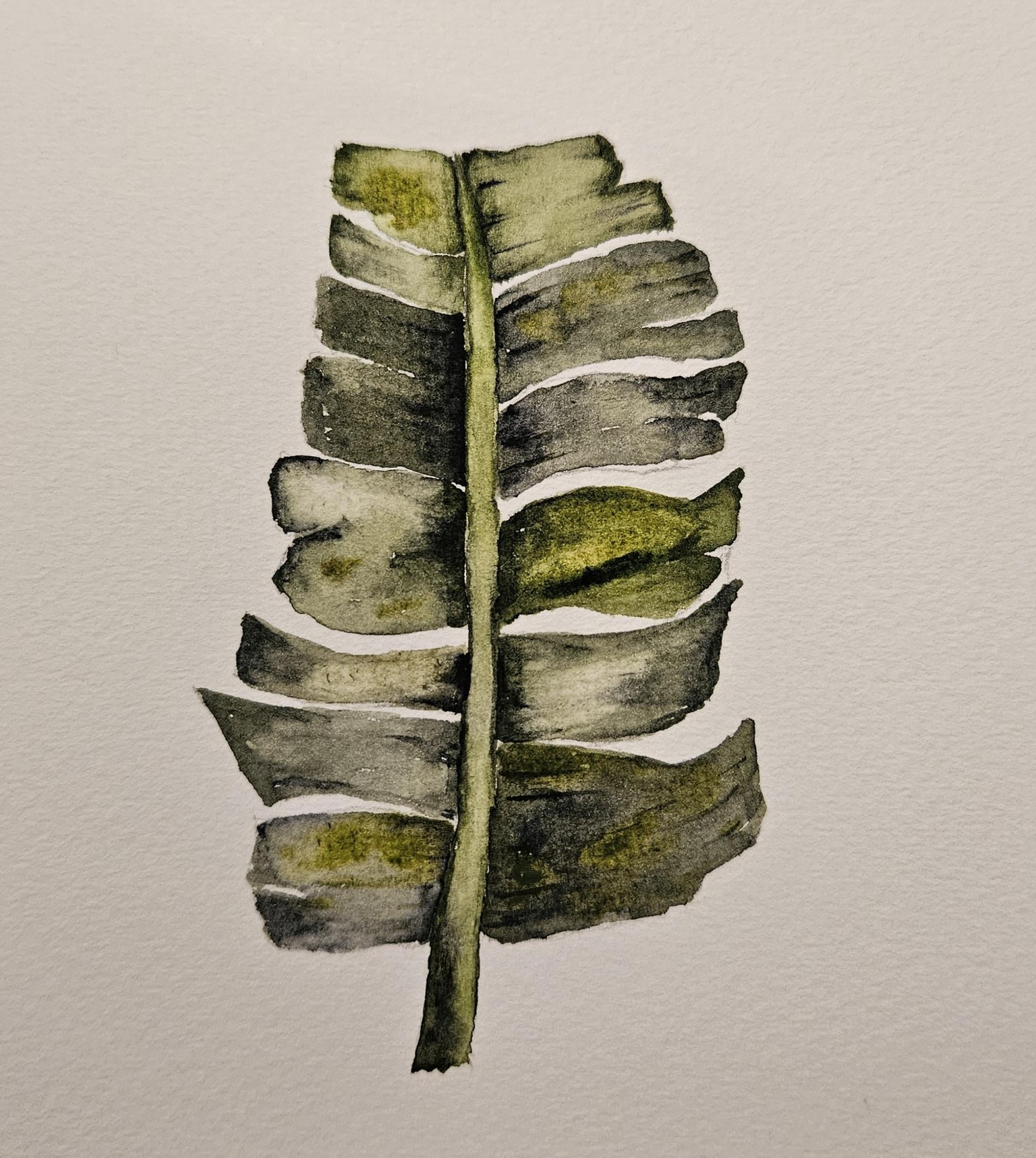 Tropical plants with Priya - image 2 - student project