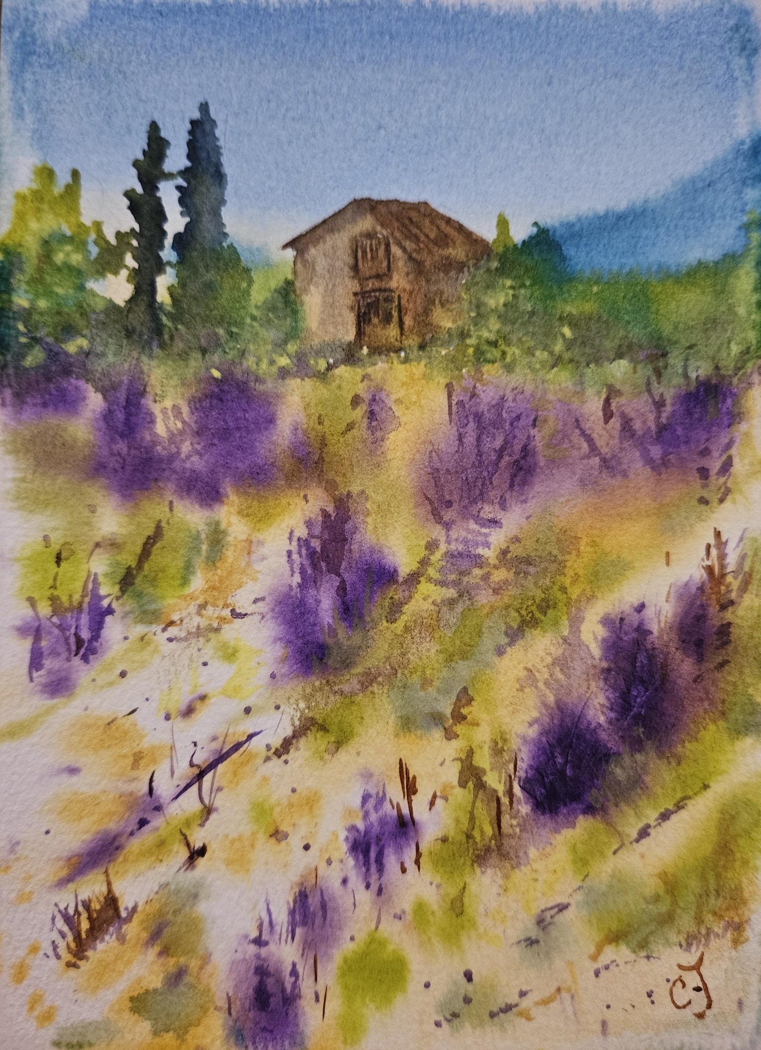 Lavender fields in Provence - image 1 - student project