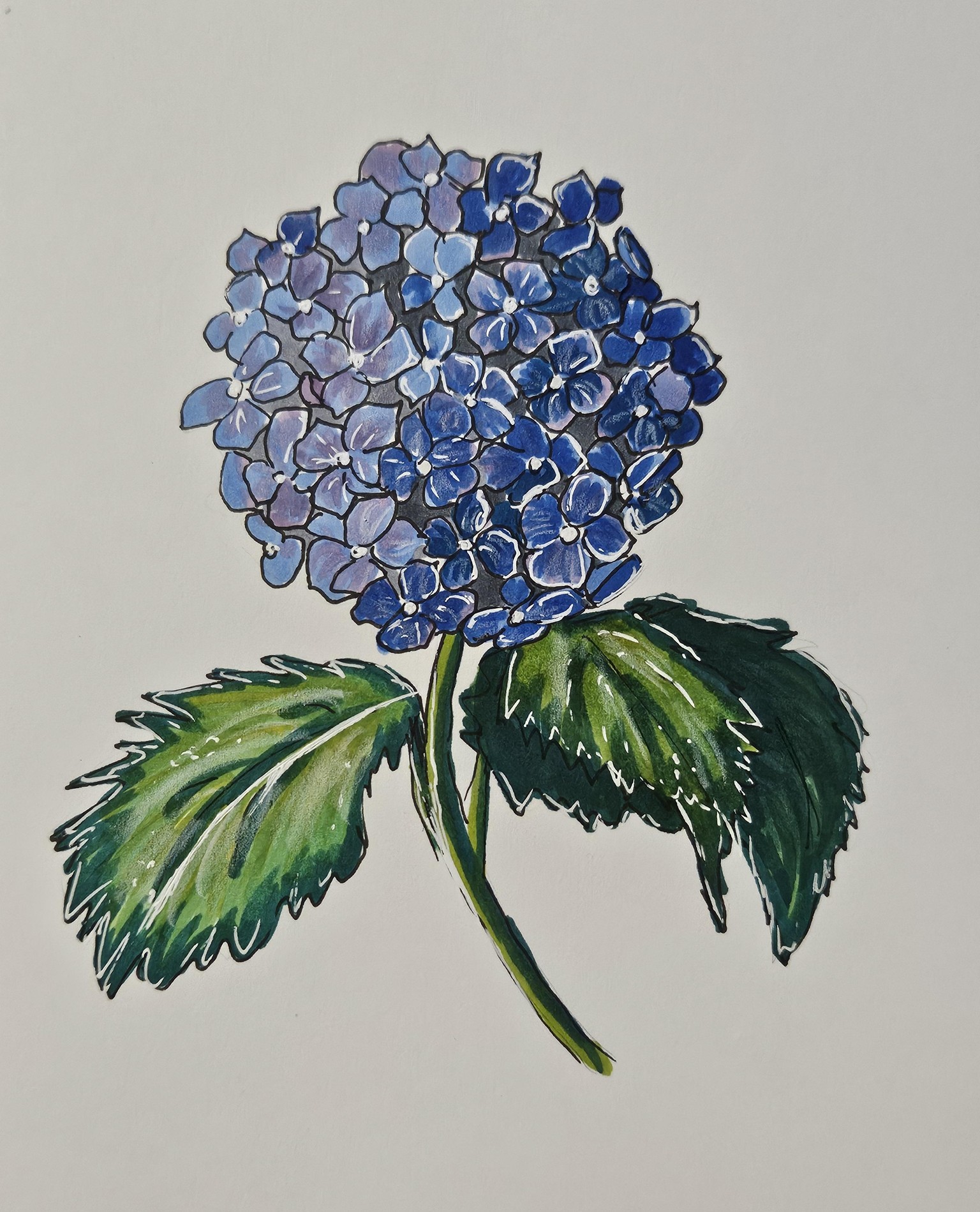 Hydrangea with markers - image 3 - student project
