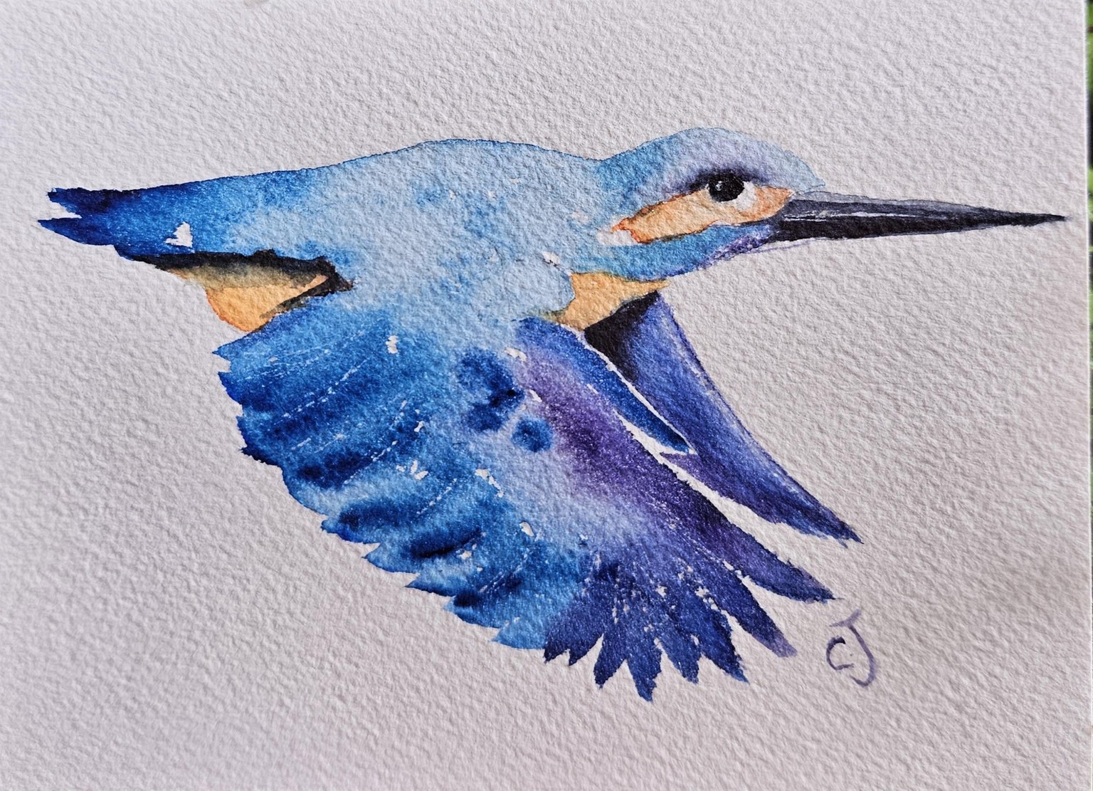 Flying kingfisher - image 1 - student project