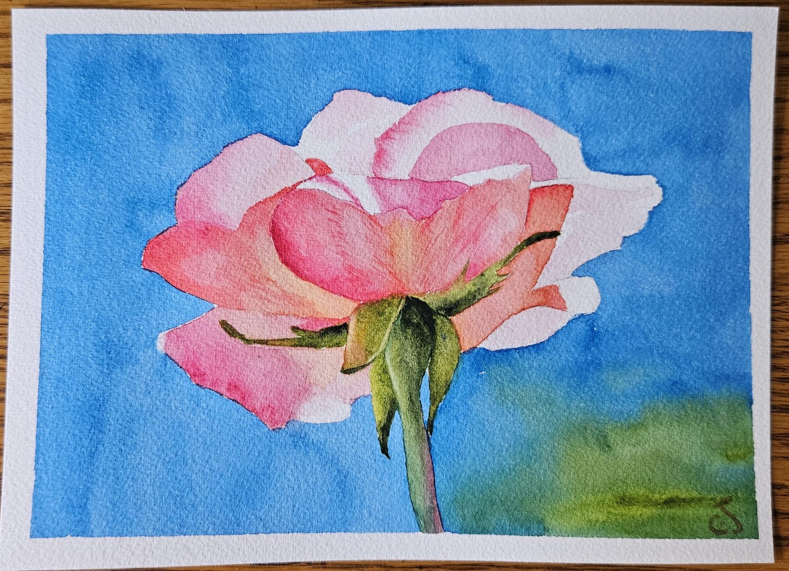 W/C rose 082825 - image 2 - student project