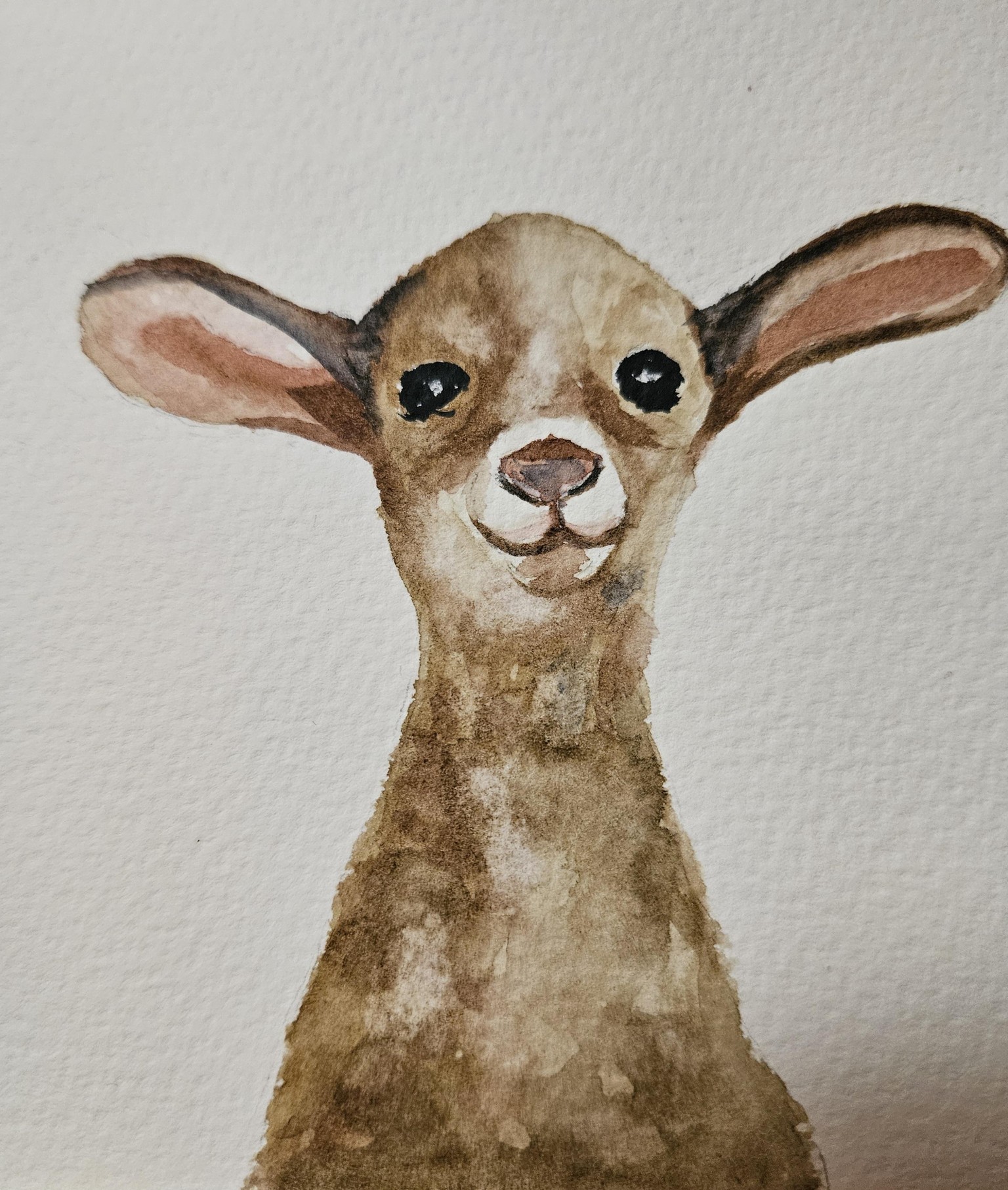 Cute baby animals - image 2 - student project