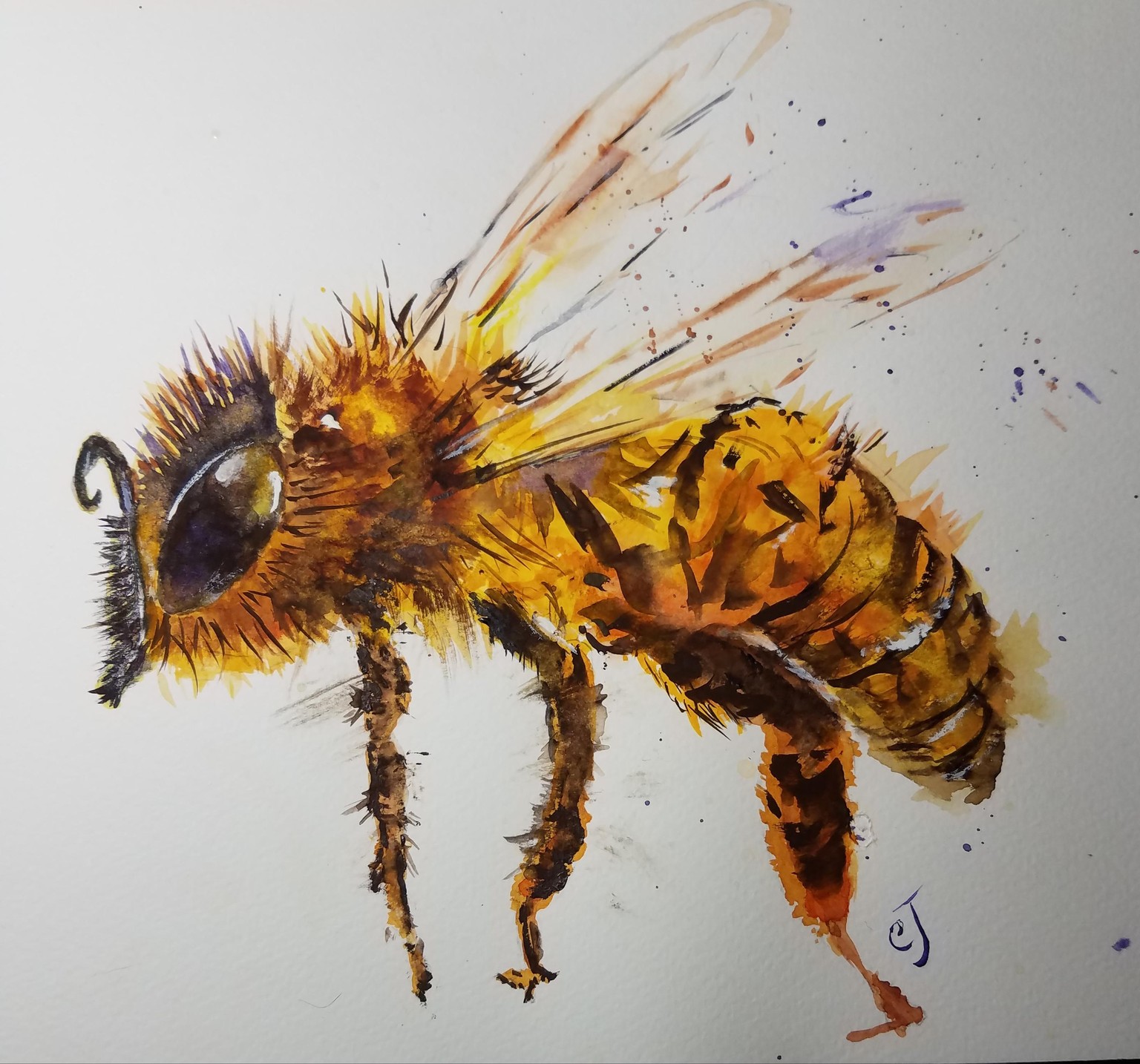 Fat bee - image 1 - student project