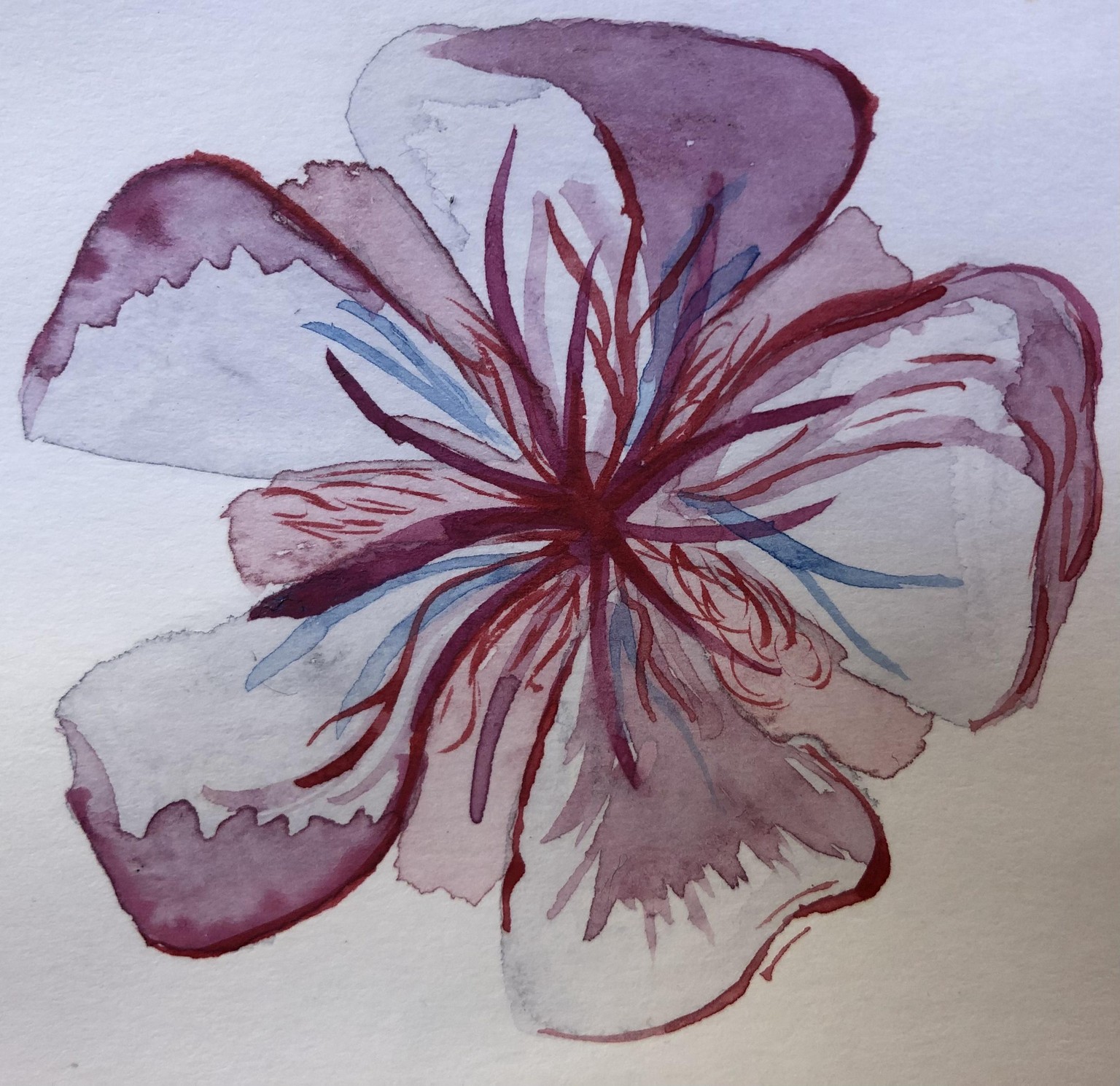 3rd basics - image 1 - student project