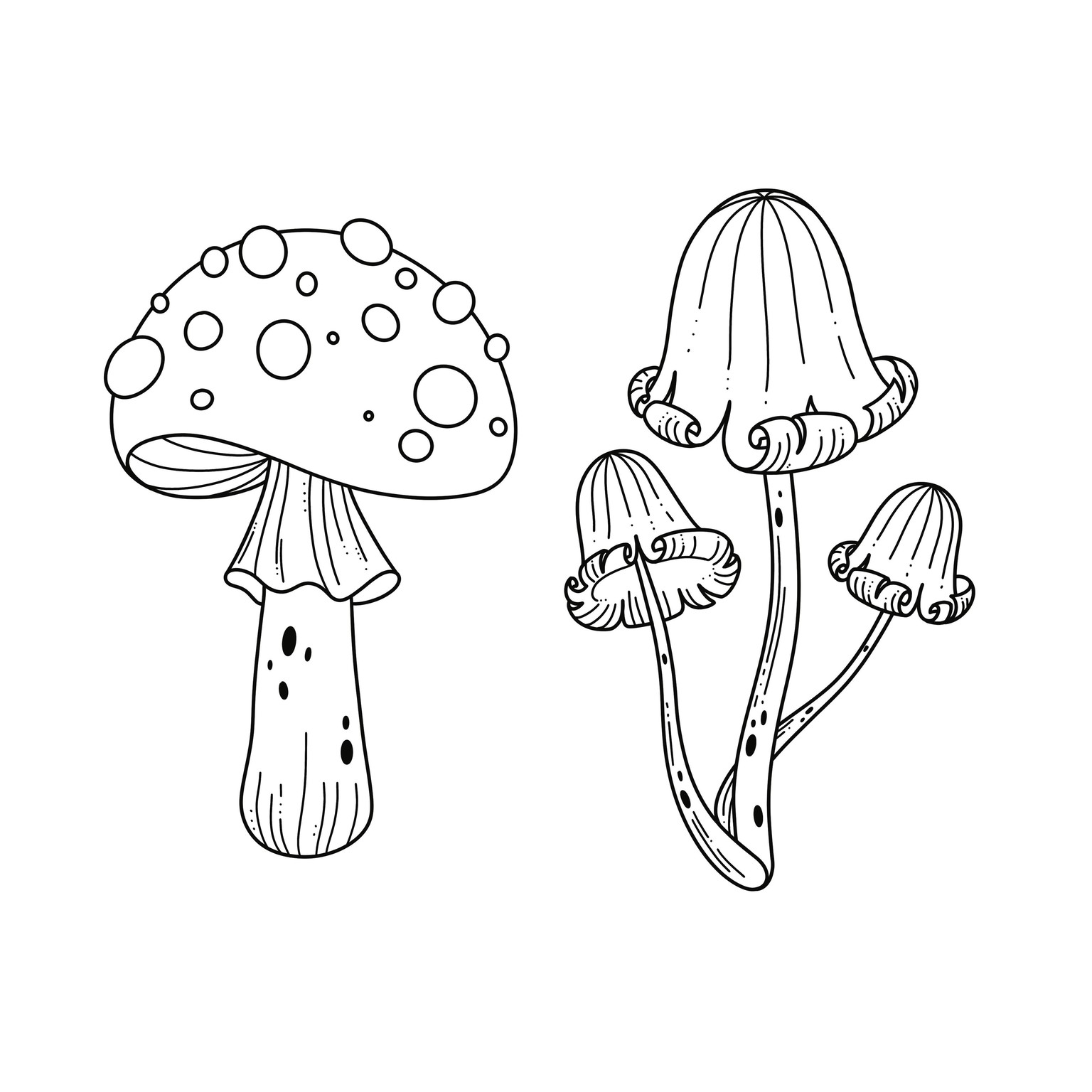 Mushrooms - image 1 - student project