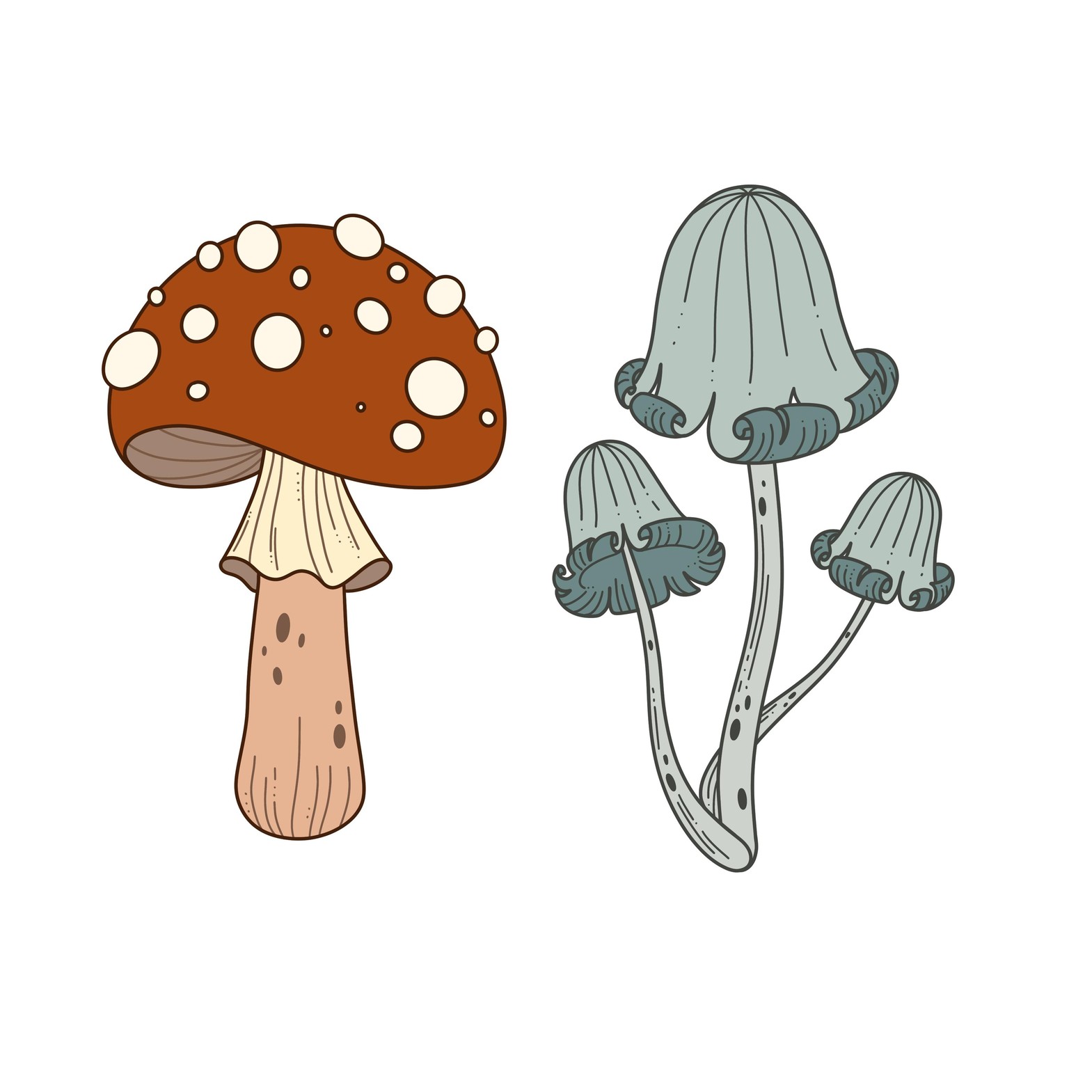 Mushrooms - image 2 - student project