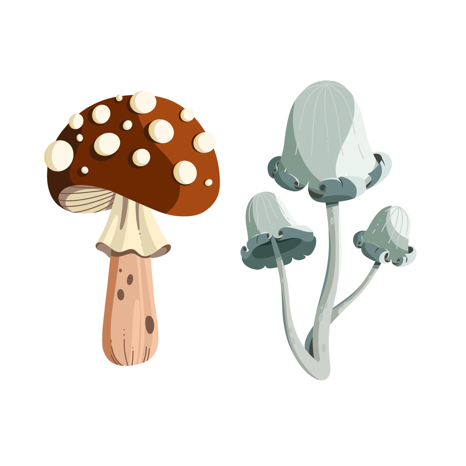 Mushrooms - image 3 - student project
