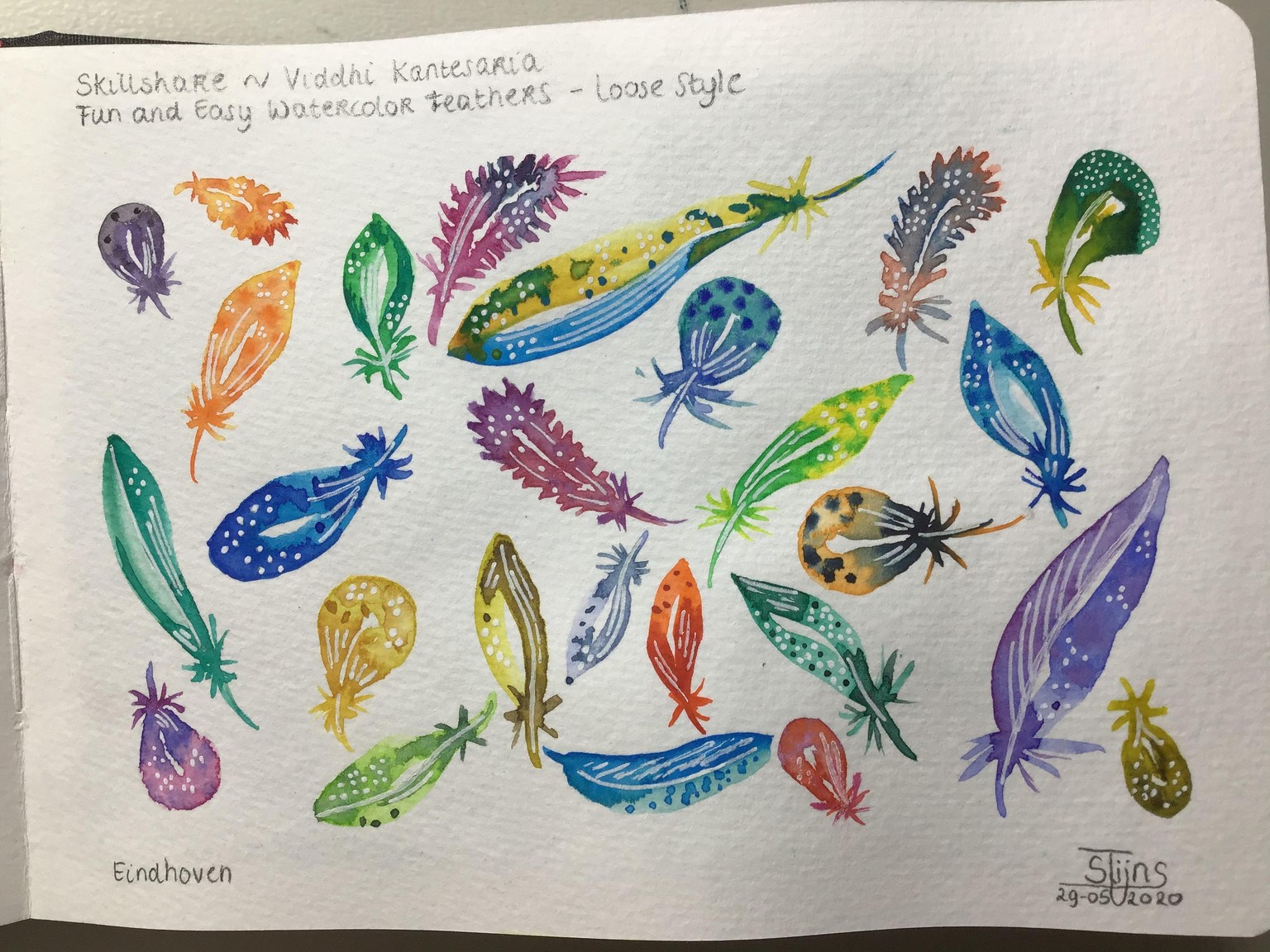 Feathers - image 1 - student project