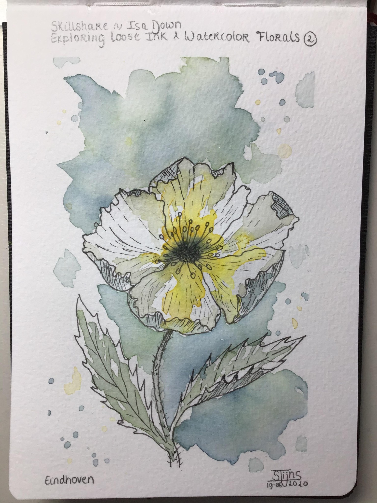 Loose watercolor and ink Flowers - image 2 - student project