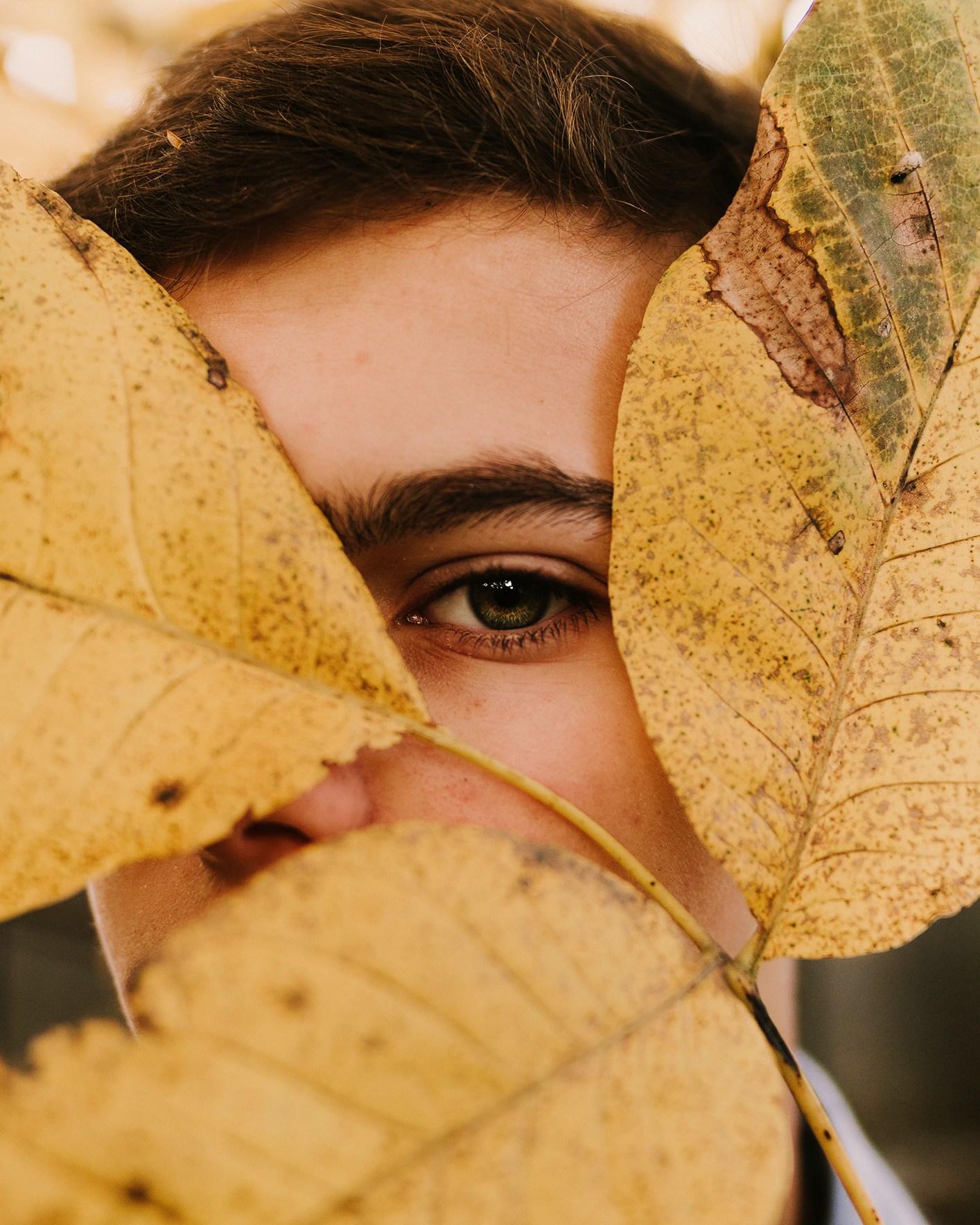 Class Project – Select Subject - image 2 - student project