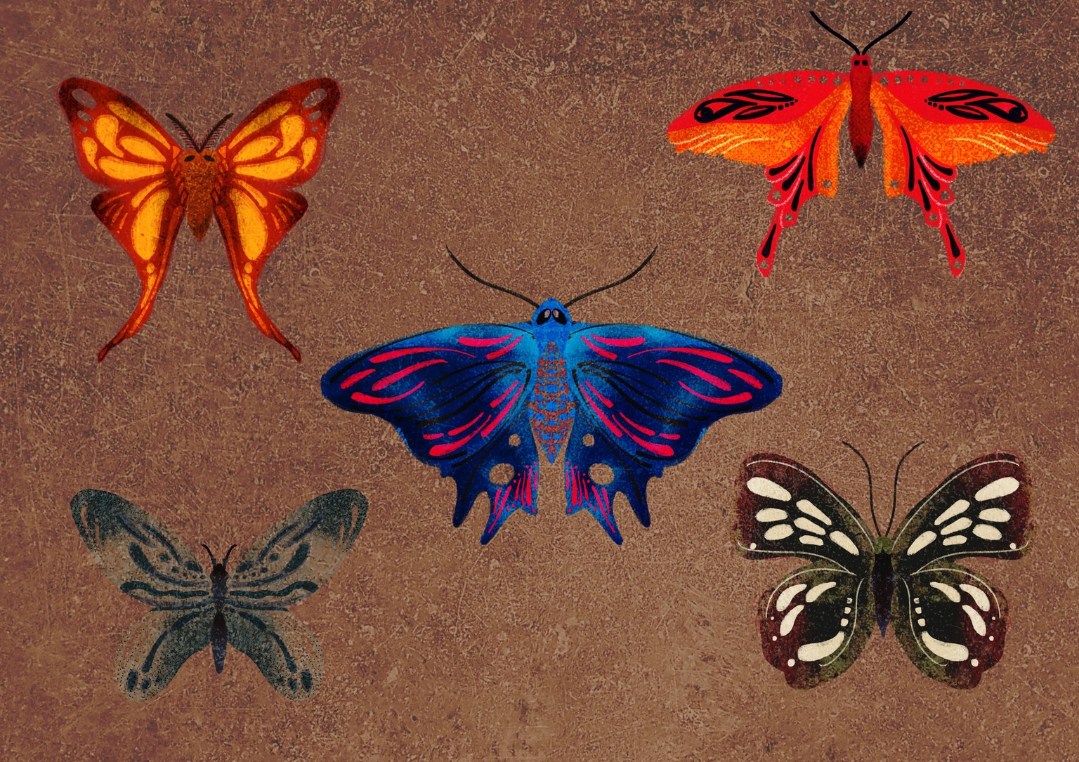 Butterflies and Textures - image 2 - student project