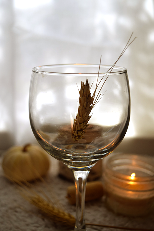 Easing into November - image 2 - student project