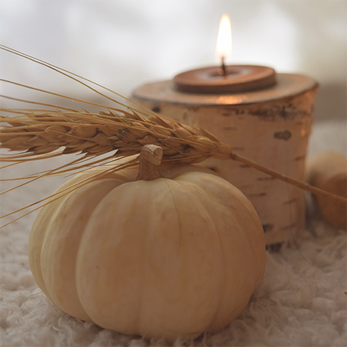 Easing into November - image 1 - student project