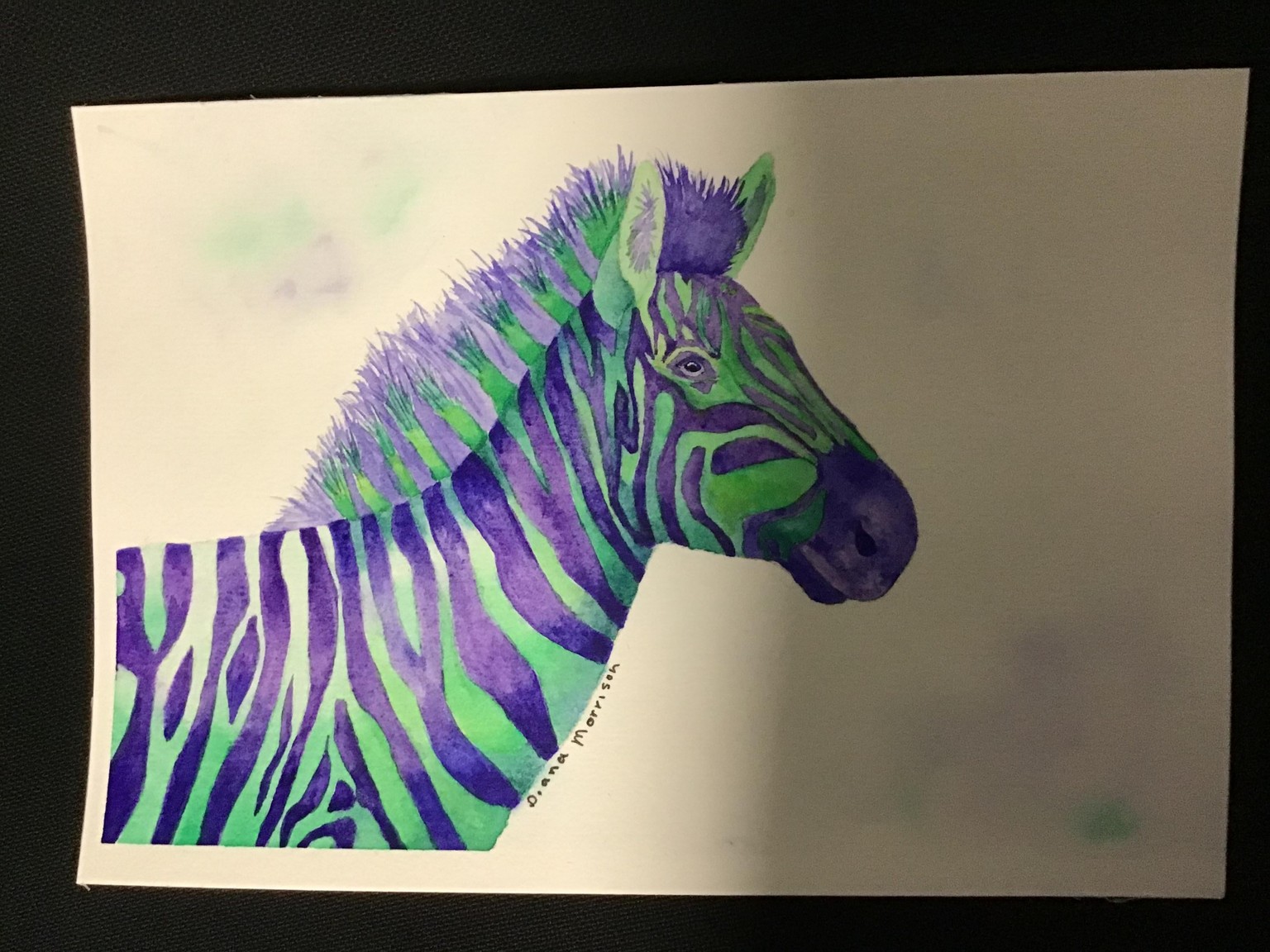 Zebra - image 1 - student project