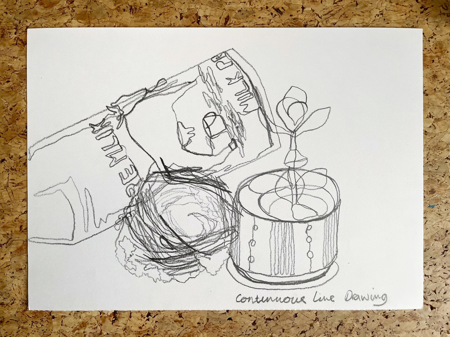 My 'Almost Daily' Drawing Challenge - image 1 - student project