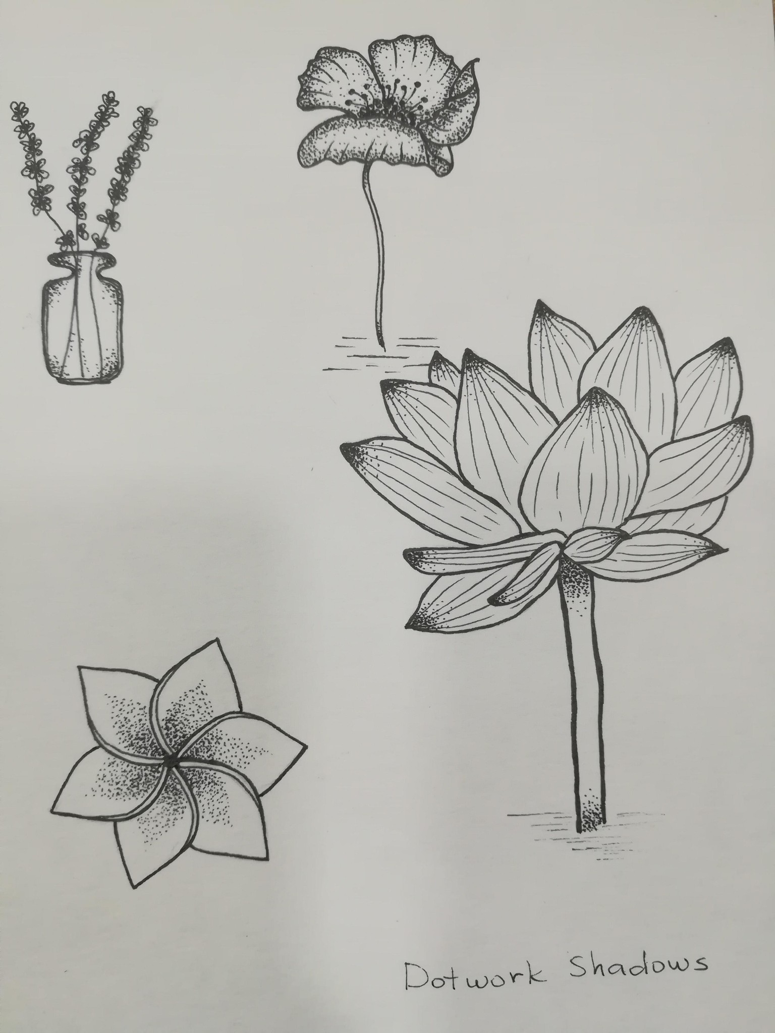 Dots - image 1 - student project