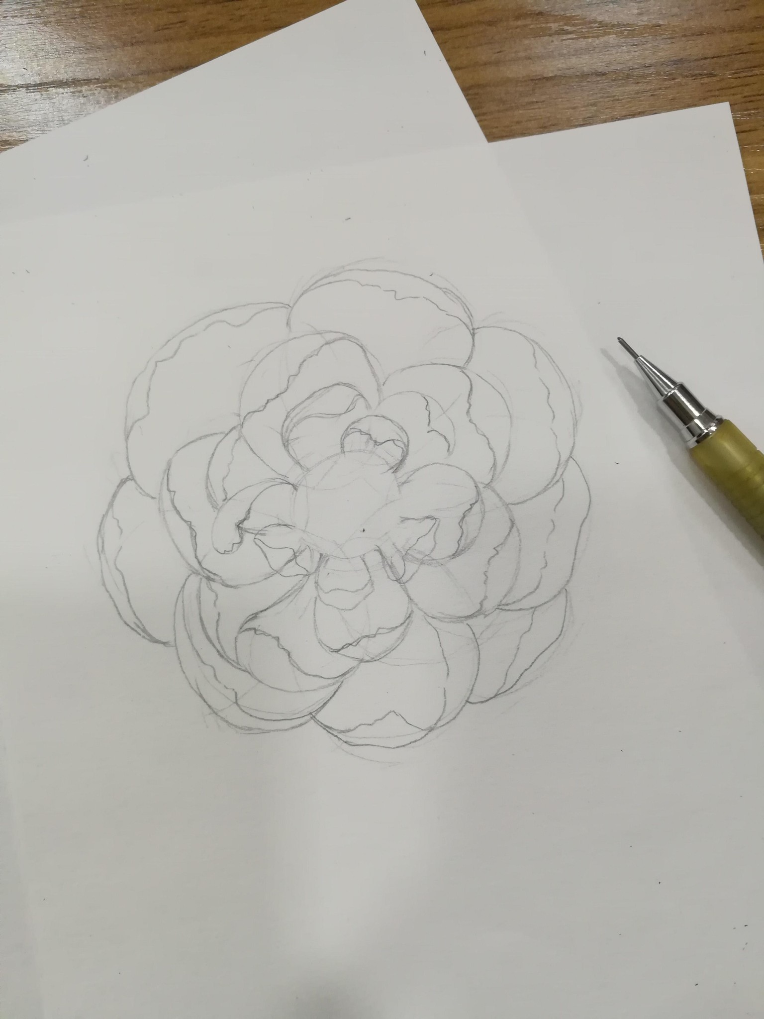 Peony - image 3 - student project