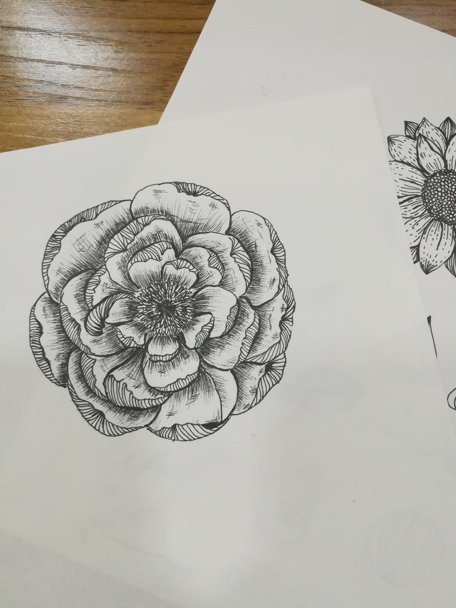 Peony - image 2 - student project