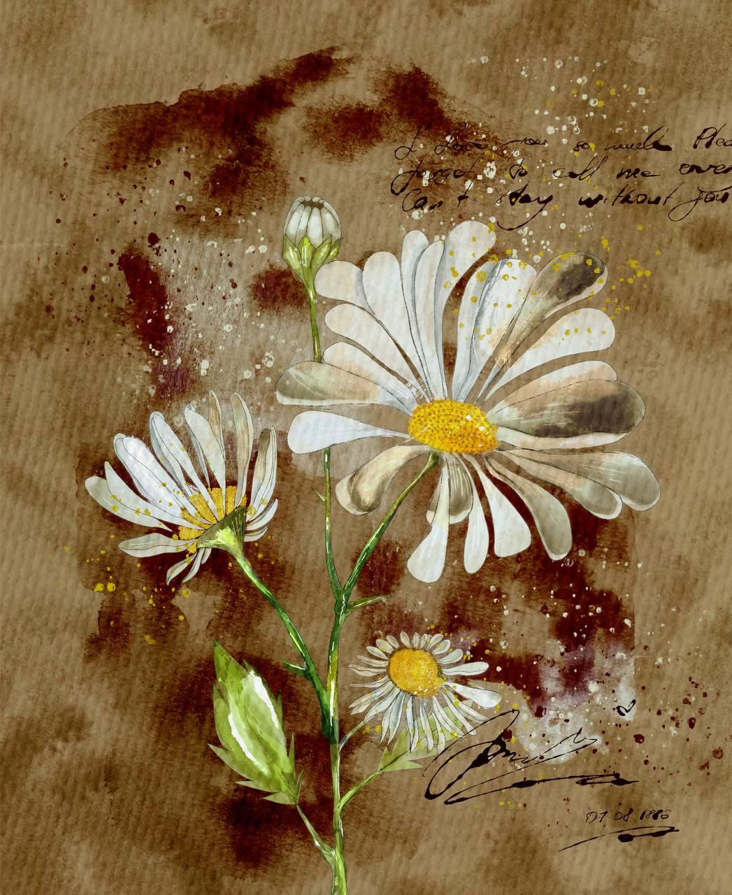Lesson application - image 1 - student project