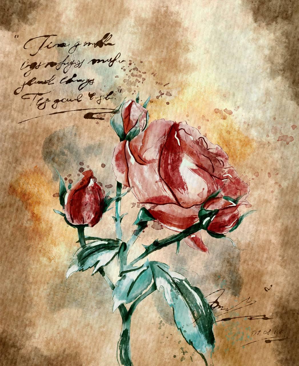 Lesson application - image 2 - student project