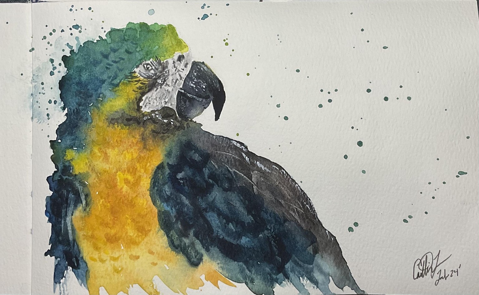 Watercolor Birds - image 3 - student project