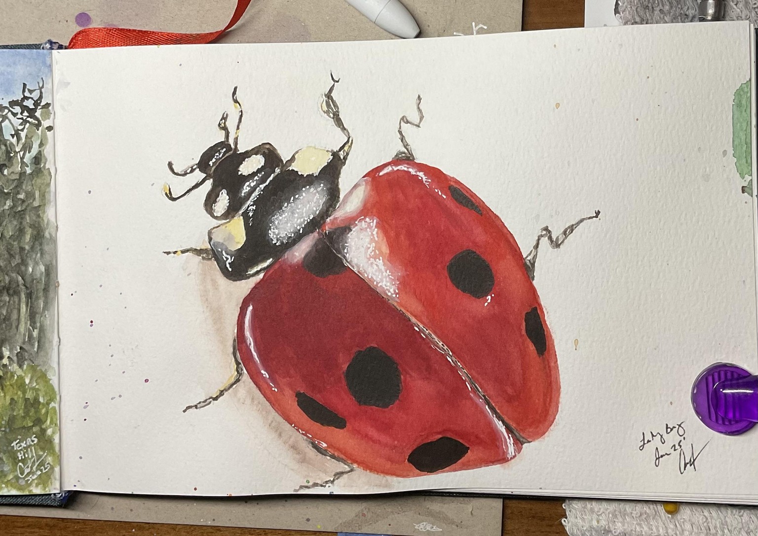 Pomegranate, Lady Bug, and Moth - image 2 - student project