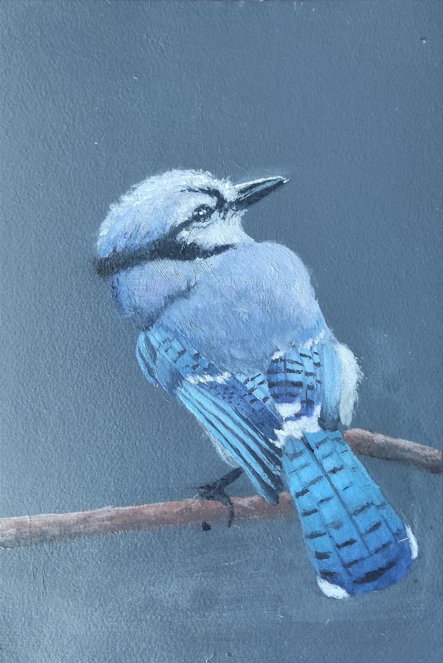 Little bird - image 1 - student project