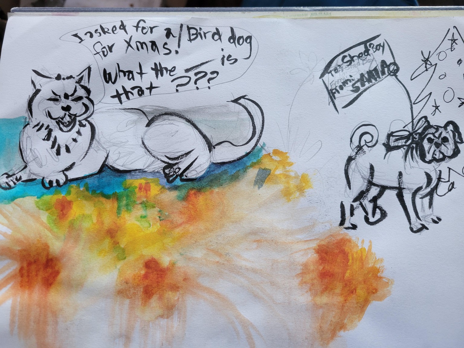 Cats and more Cats - image 7 - student project
