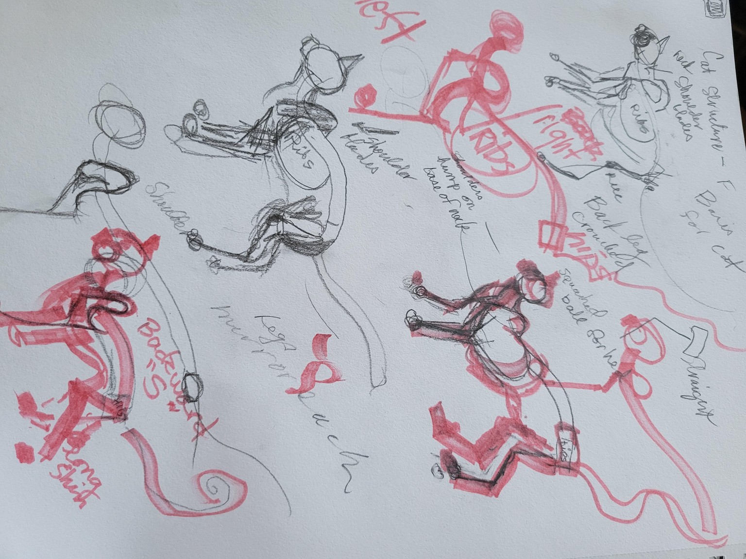 Cats and more Cats - image 5 - student project