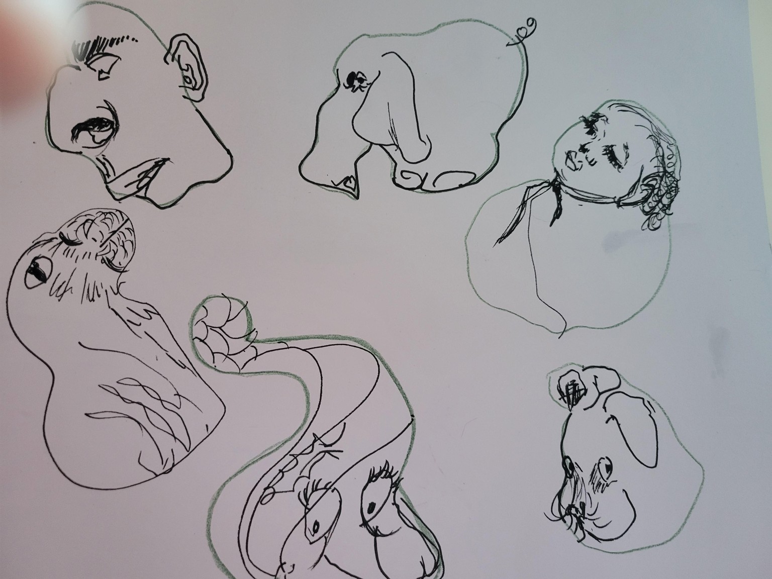 Exercises - image 6 - student project
