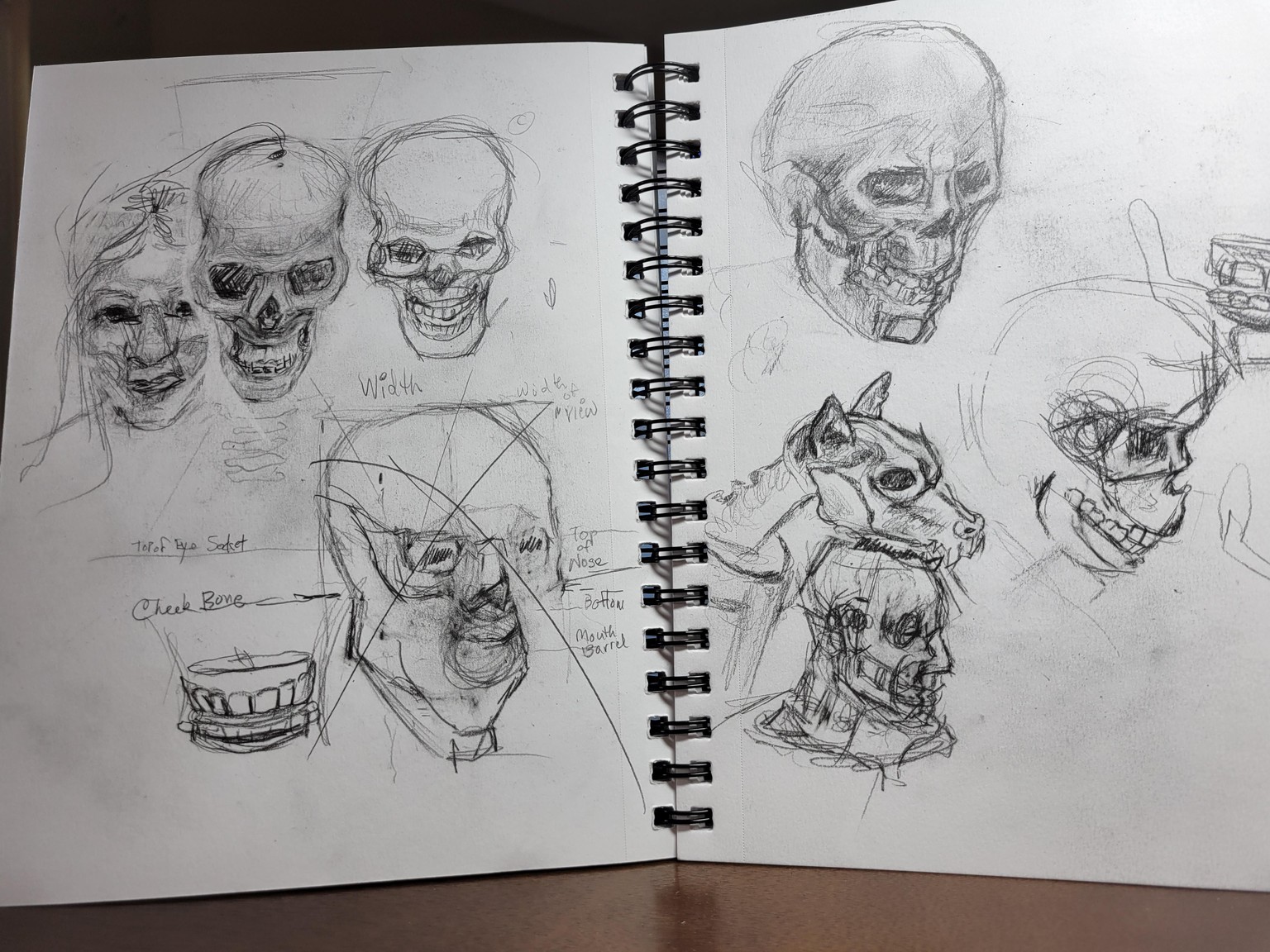 Course Work - image 9 - student project