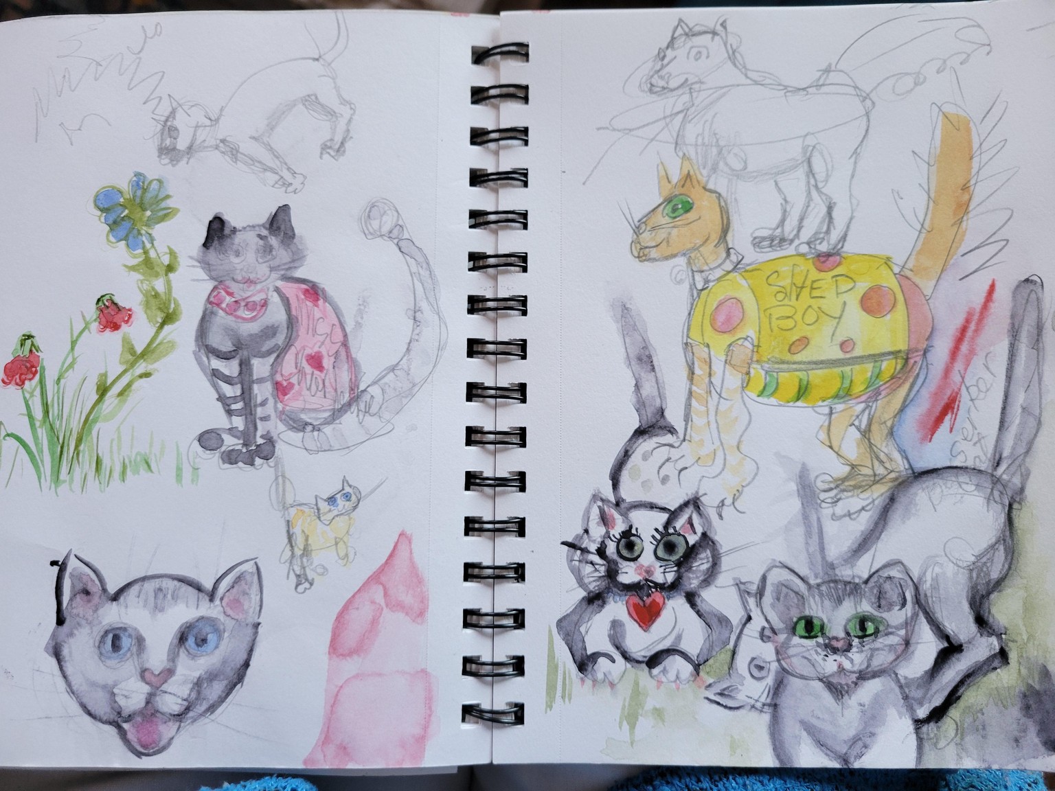 Cats and more Cats - image 6 - student project
