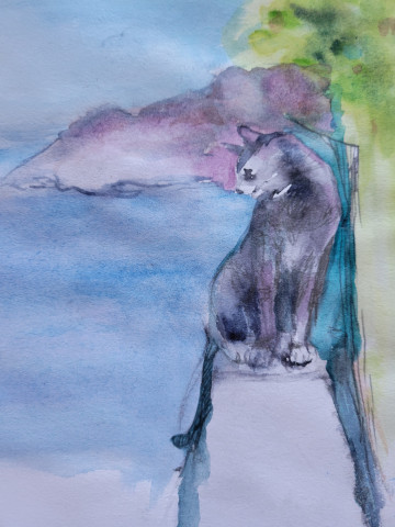 Cats and more Cats - image 3 - student project