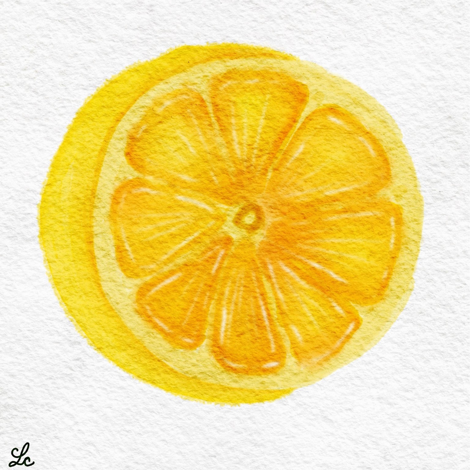 Tropical watercolor - image 3 - student project