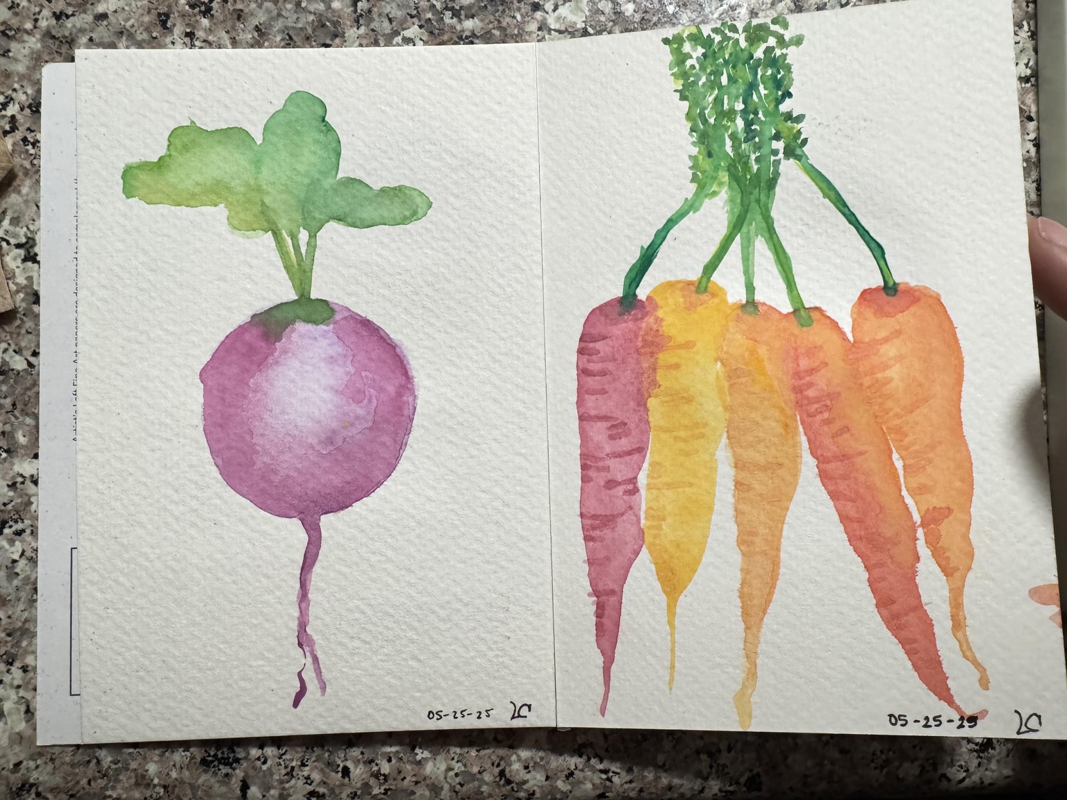 Veggies  - image 1 - student project