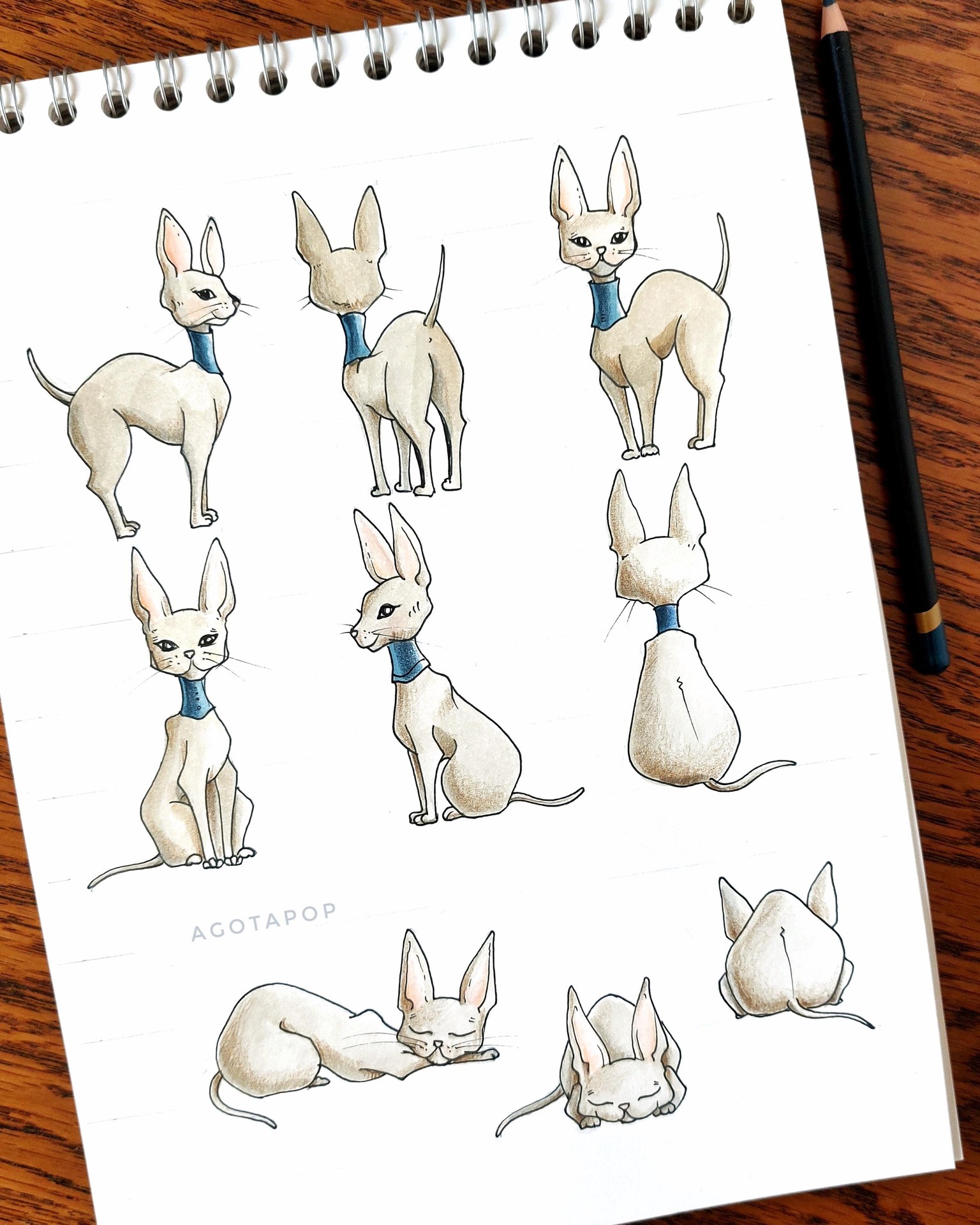 Majestic Cats - image 2 - student project