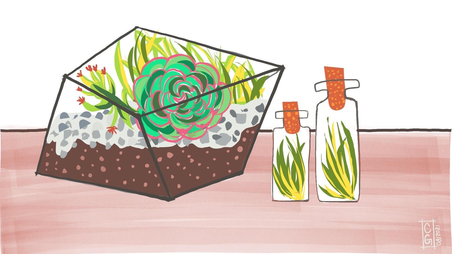 CG's Version Of Terrarium - image 1 - student project