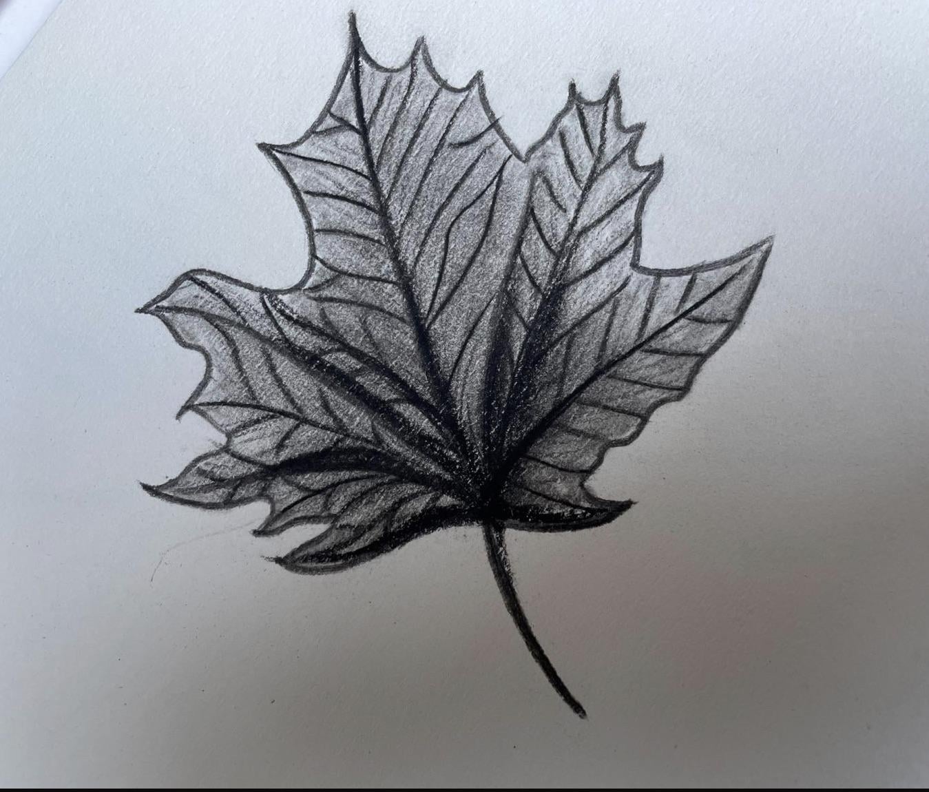 Charcoal leaf - image 1 - student project