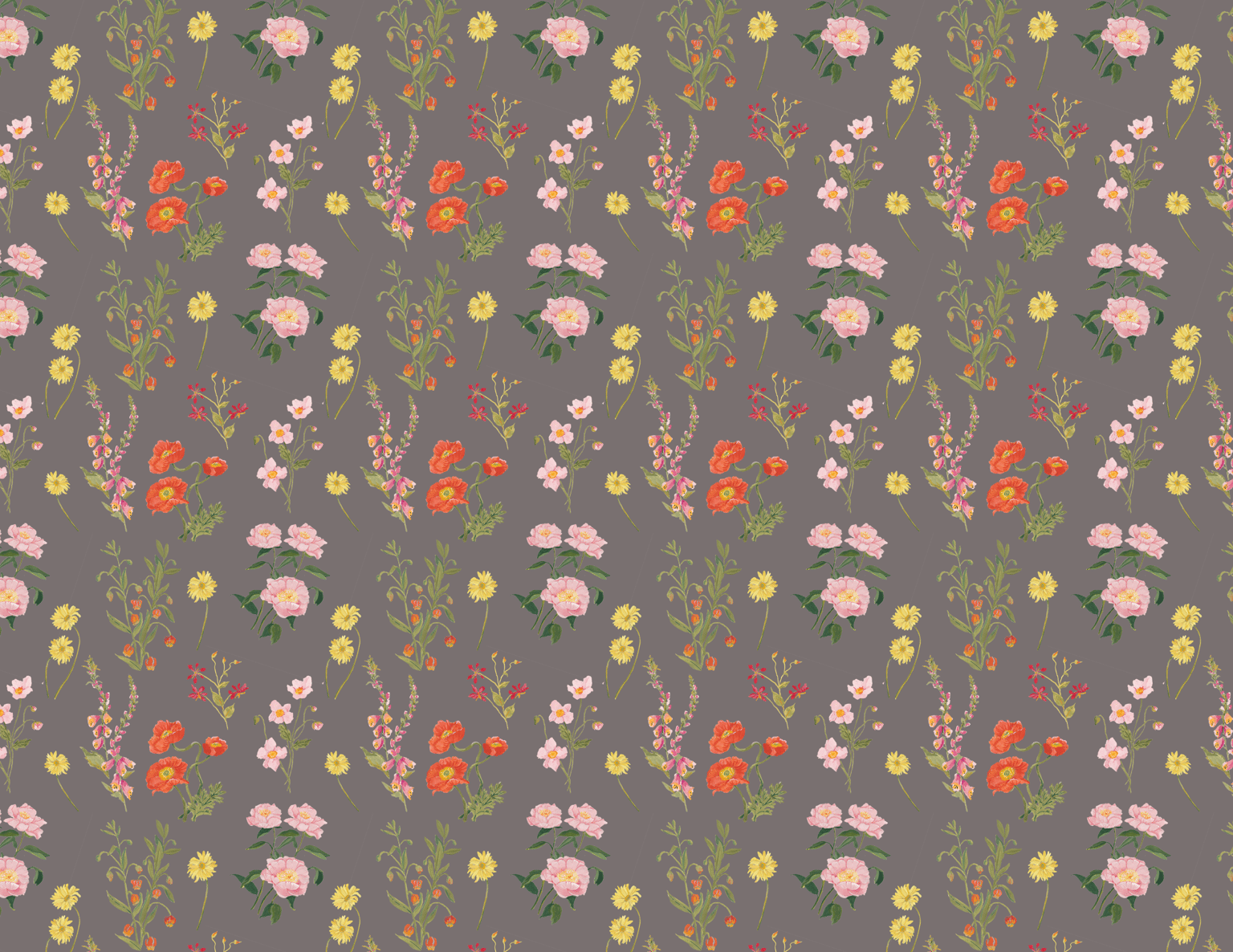 Speedy Patterns - image 1 - student project