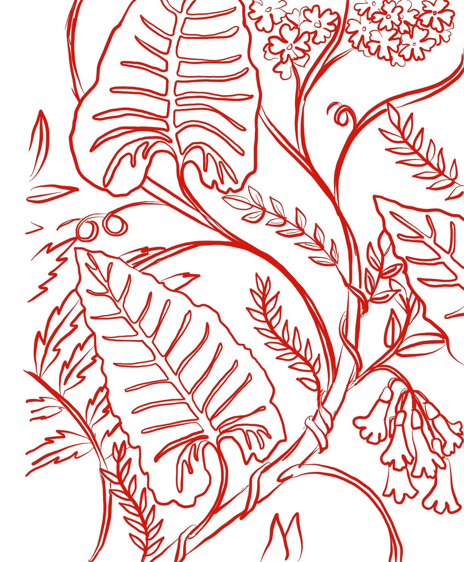Rainforest Tree of Life - image 4 - student project