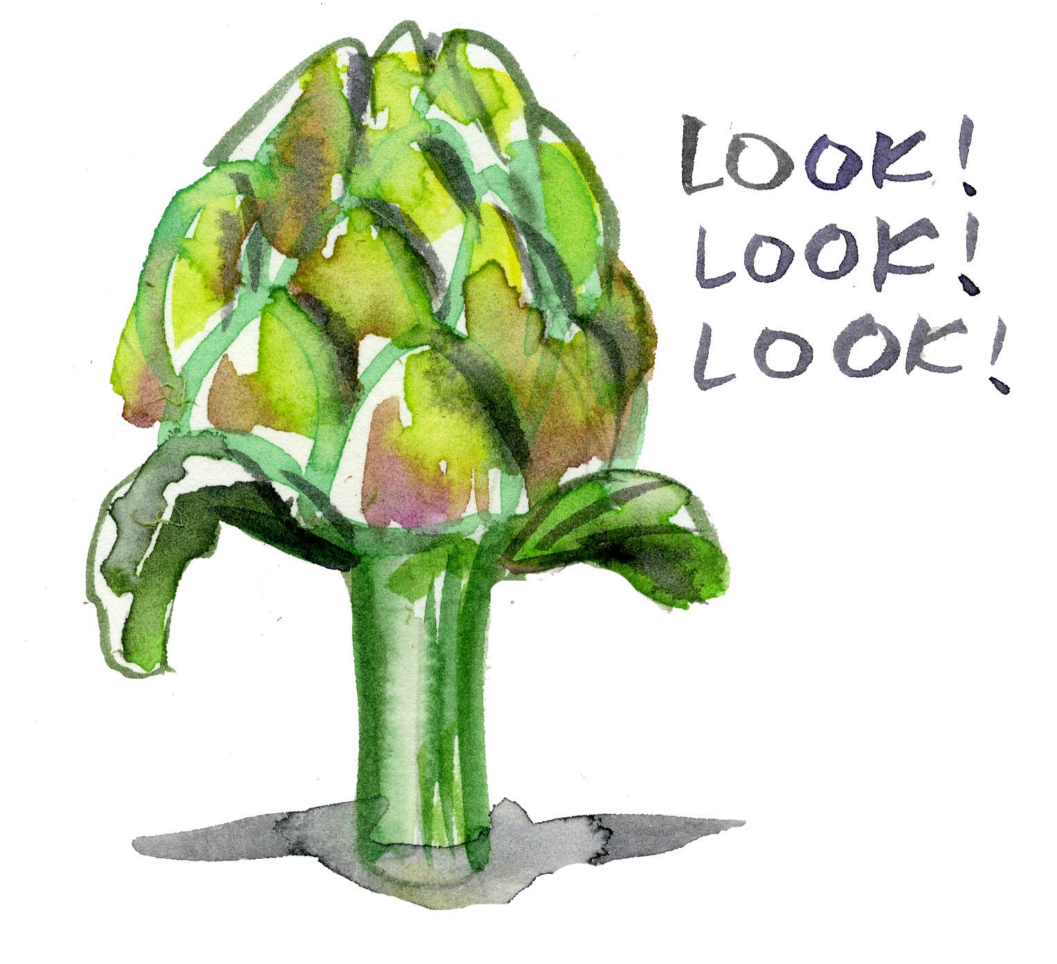 How to Paint Produce: Watercolor Fruit & Veg - image 3 - student project